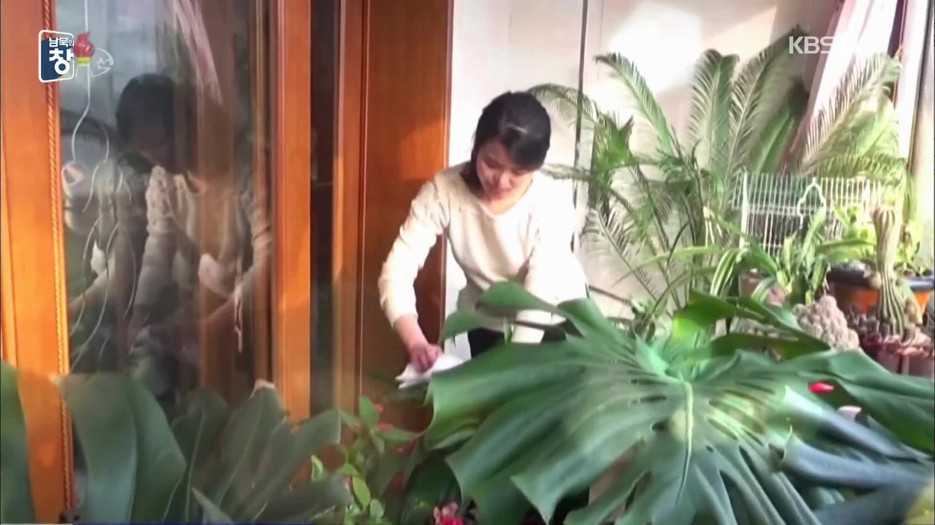 [북한 영상] 평양 가족의 ‘화초 재배’