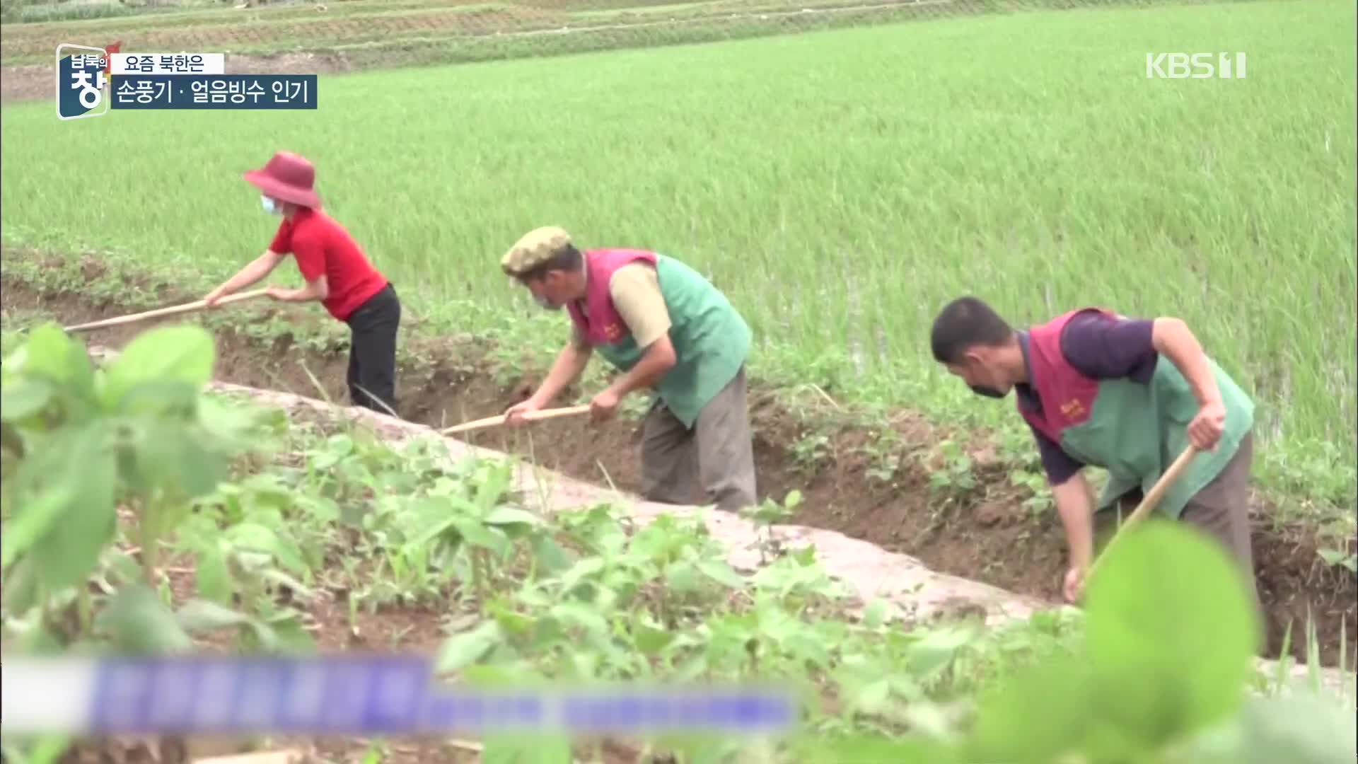 [요즘 북한은] 이번엔 폭염까지…농작물 노심초사 외