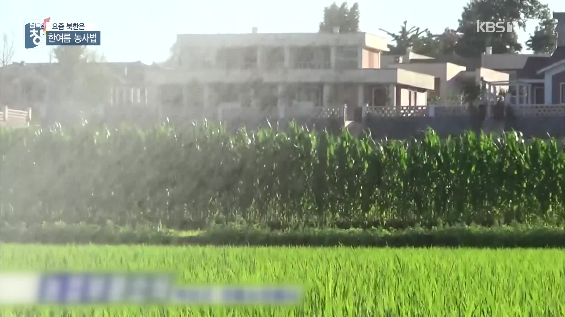 [요즘 북한은] 농사 망칠까 걱정…무더위 농사법 외