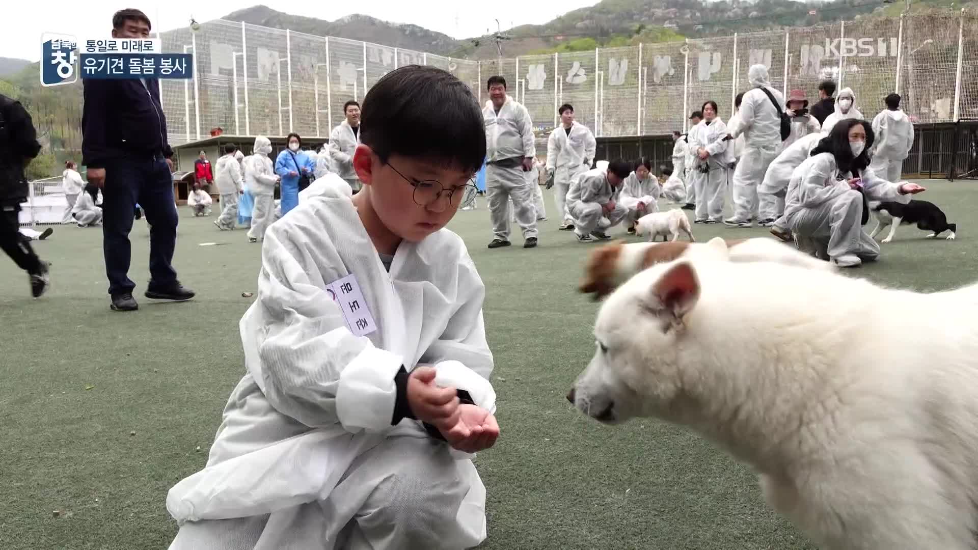 [통일로 미래로] 유기동물 돌보기…치유와 공감
