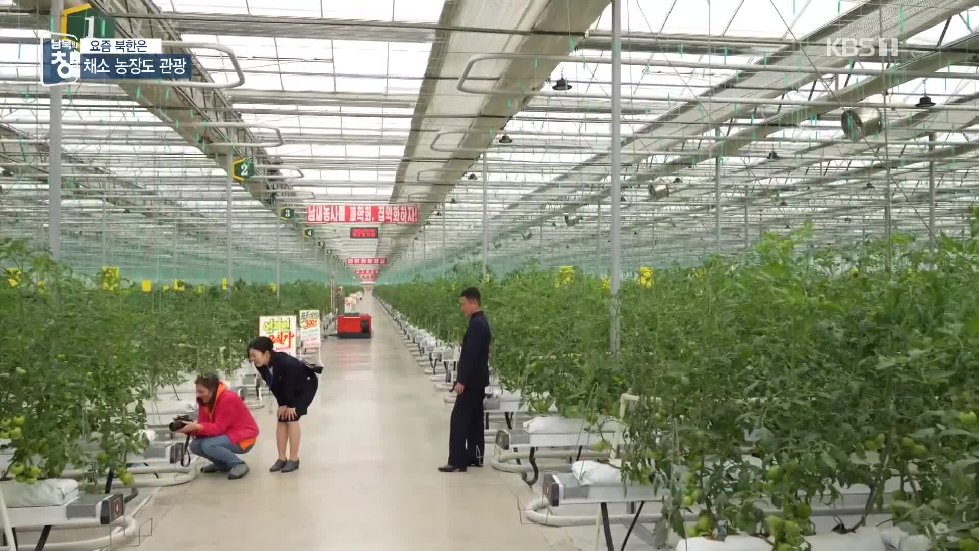 [요즘 북한은] 채소 농장 관광?…외화벌이 시동 외