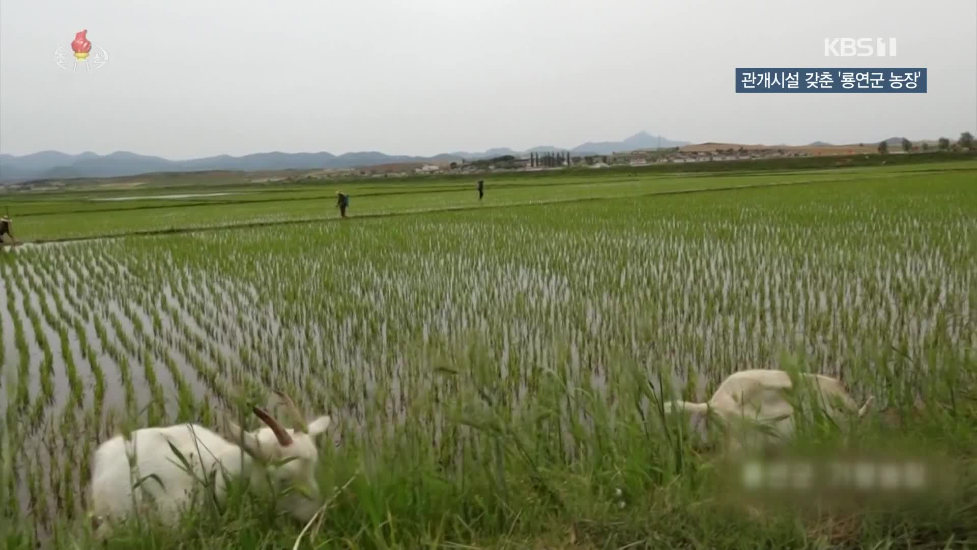 [북한 영상] 관개시설 갖춘 ‘룡연군 농장’