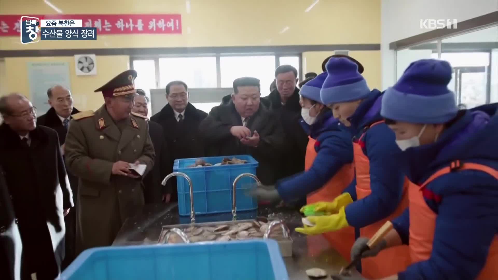 [요즘 북한은] 김정은 덕분에 메기 10배 증산? 외