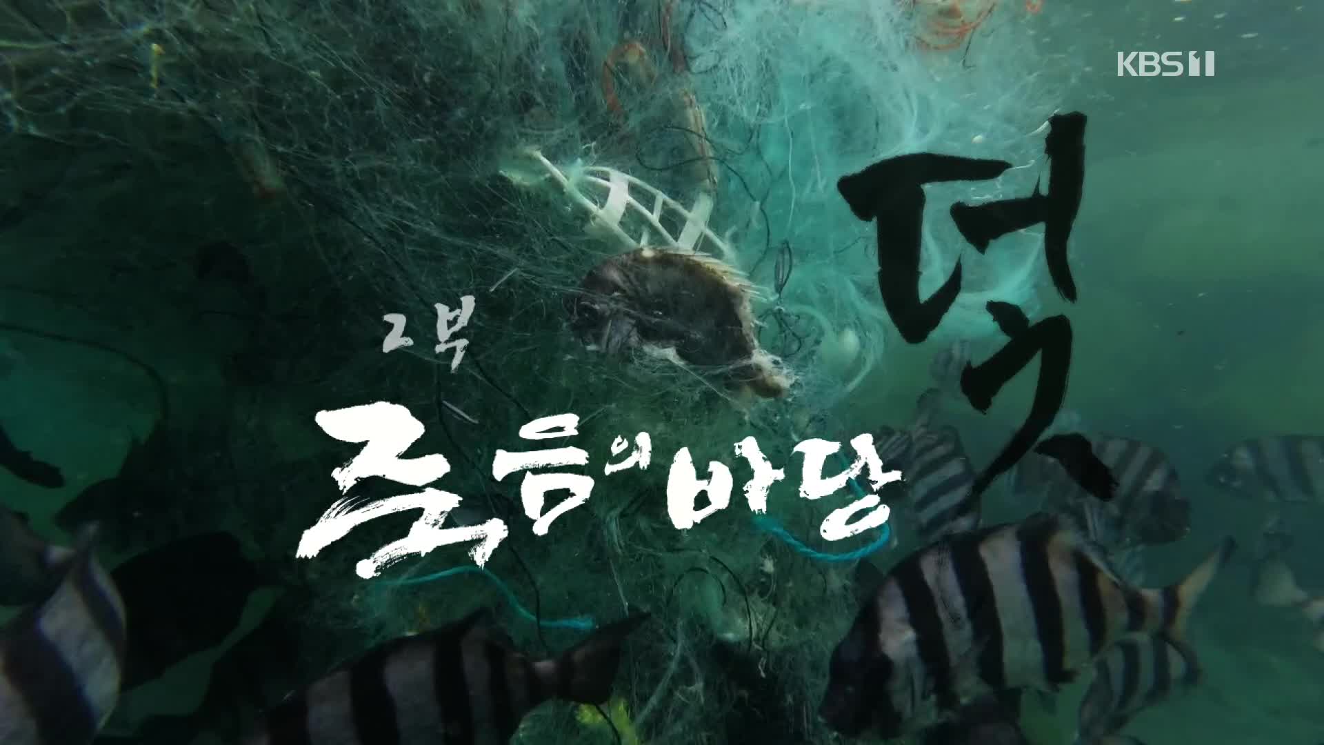 [시사기획 창] 죽음의 바당 2부 ‘덫’