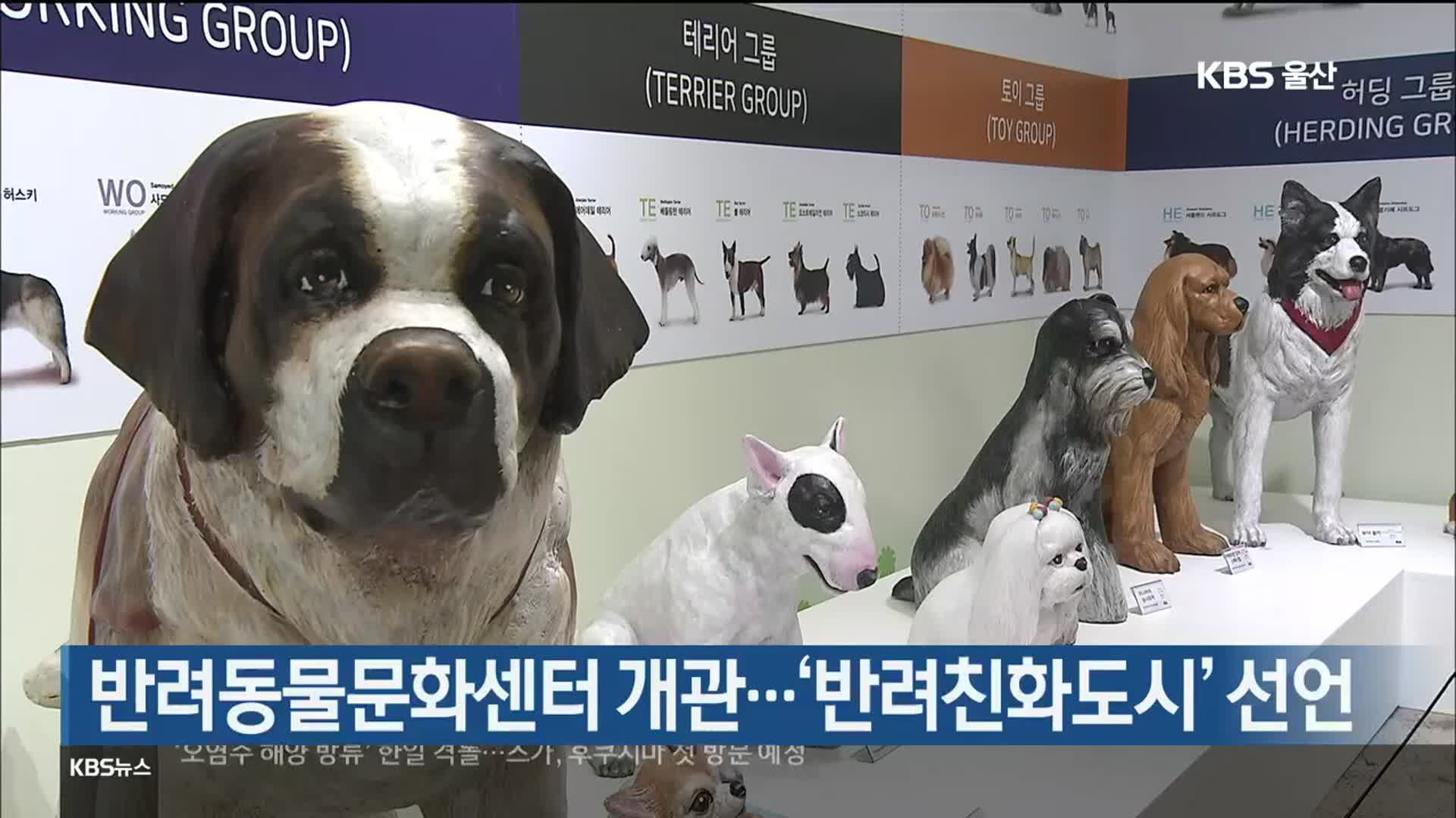 반려동물문화센터 개관…‘반려친화도시’ 선언