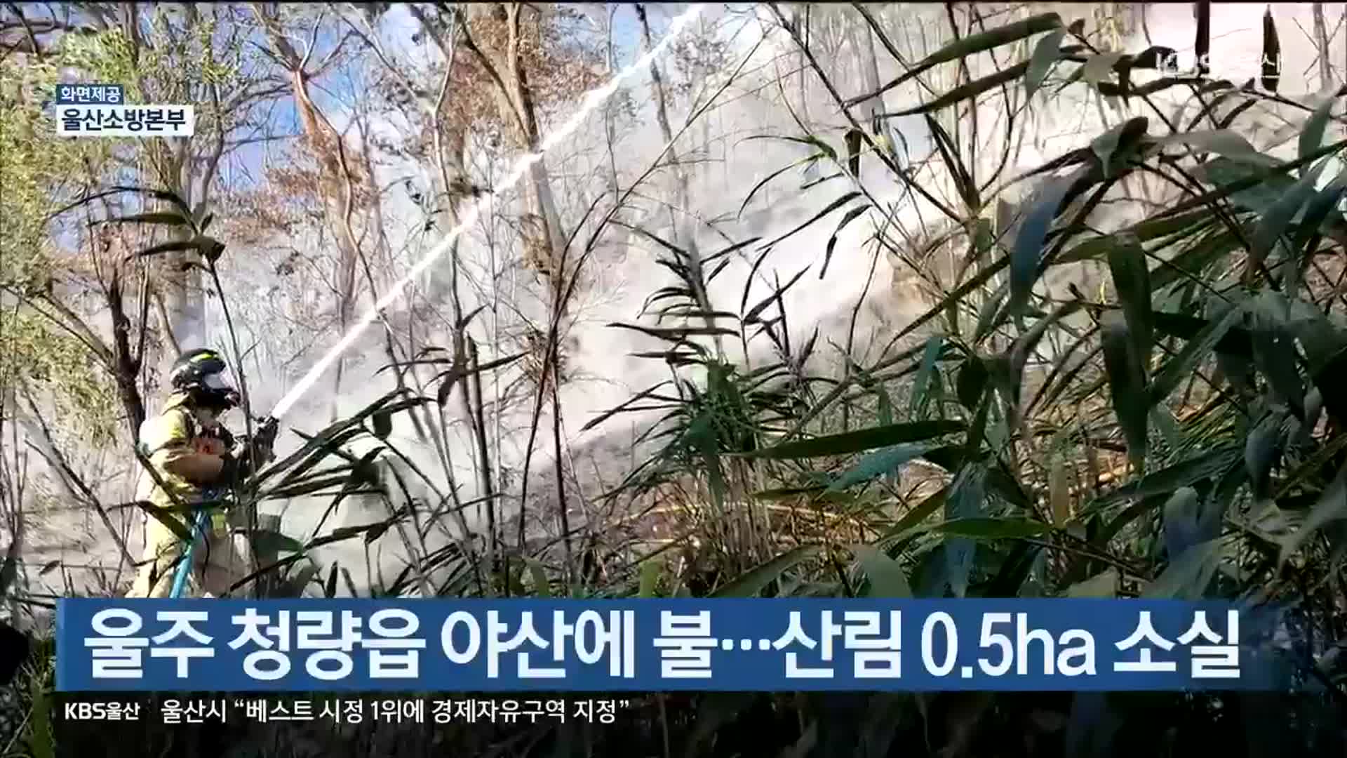 울주 청량읍 야산에 불…산림 0.5ha 소실