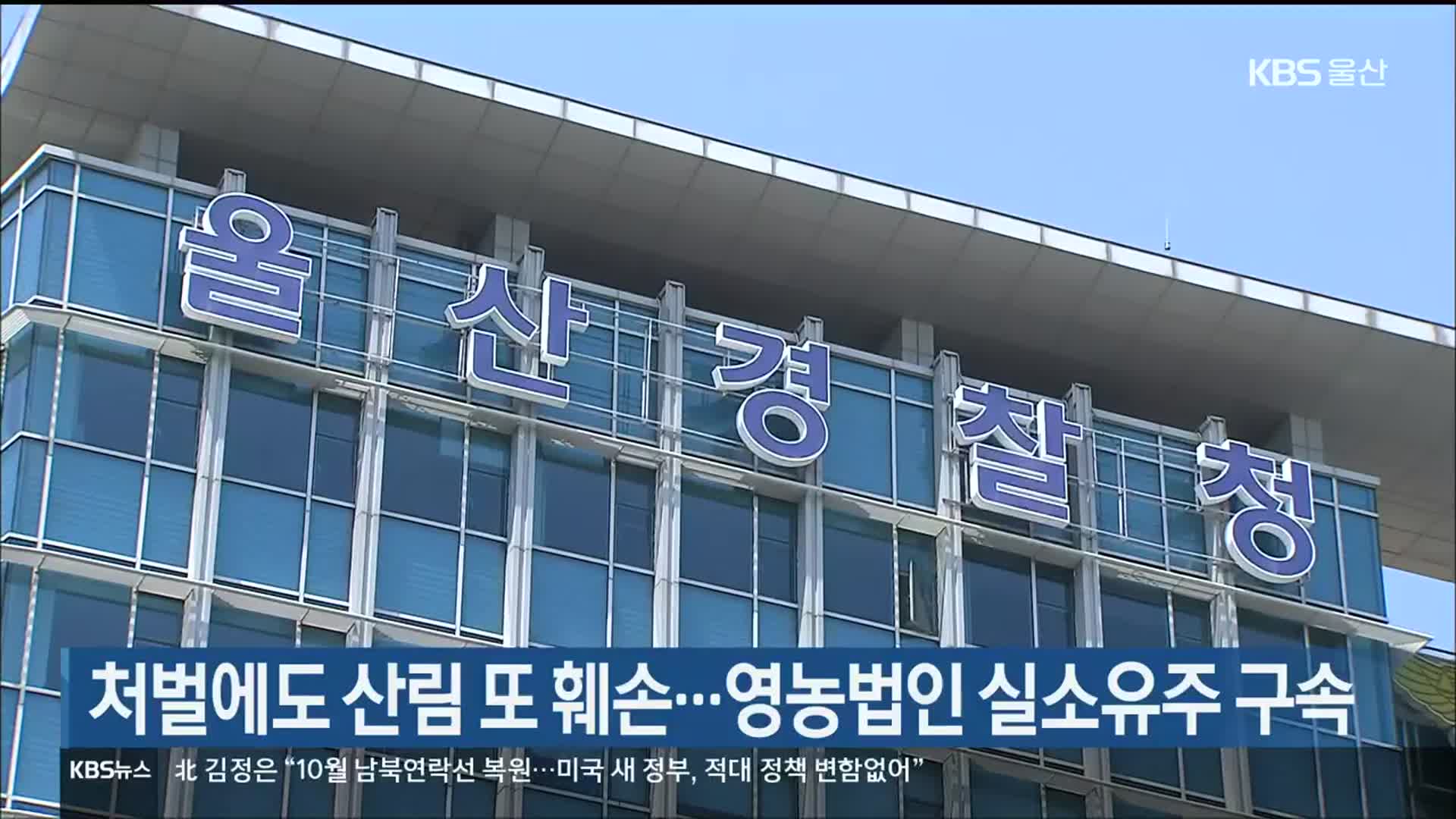 처벌에도 산림 또 훼손…영농법인 실소유주 구속