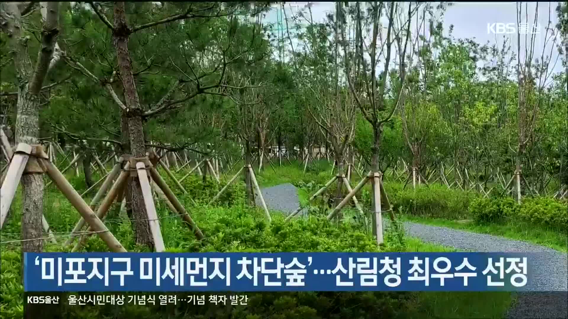 ‘미포지구 미세먼지 차단숲’…산림청 최우수 선정