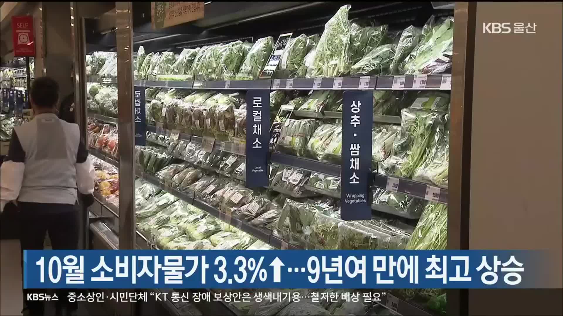 울산 10월 소비자물가 3.3%↑…9년여 만에 최고 상승