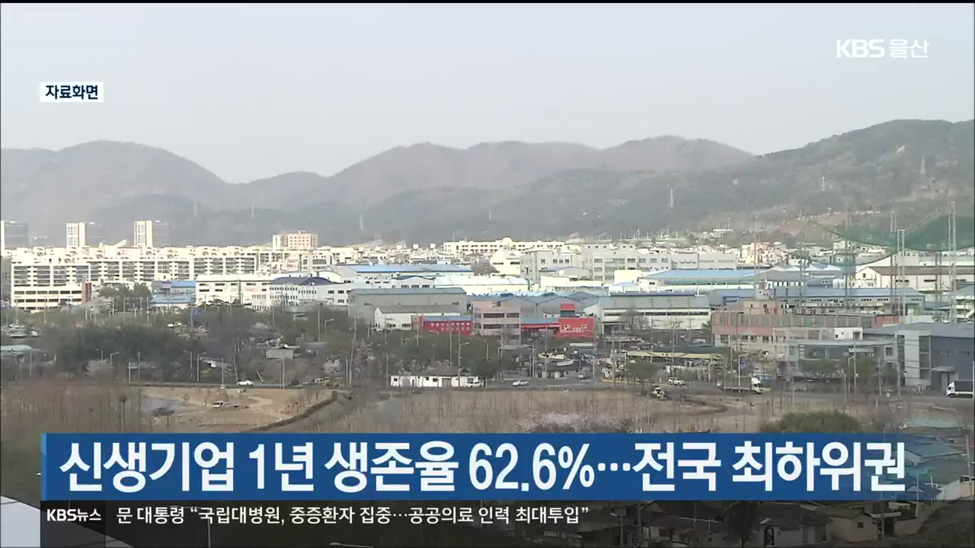 울산 신생기업 1년 생존율 62.6%…전국 최하위권