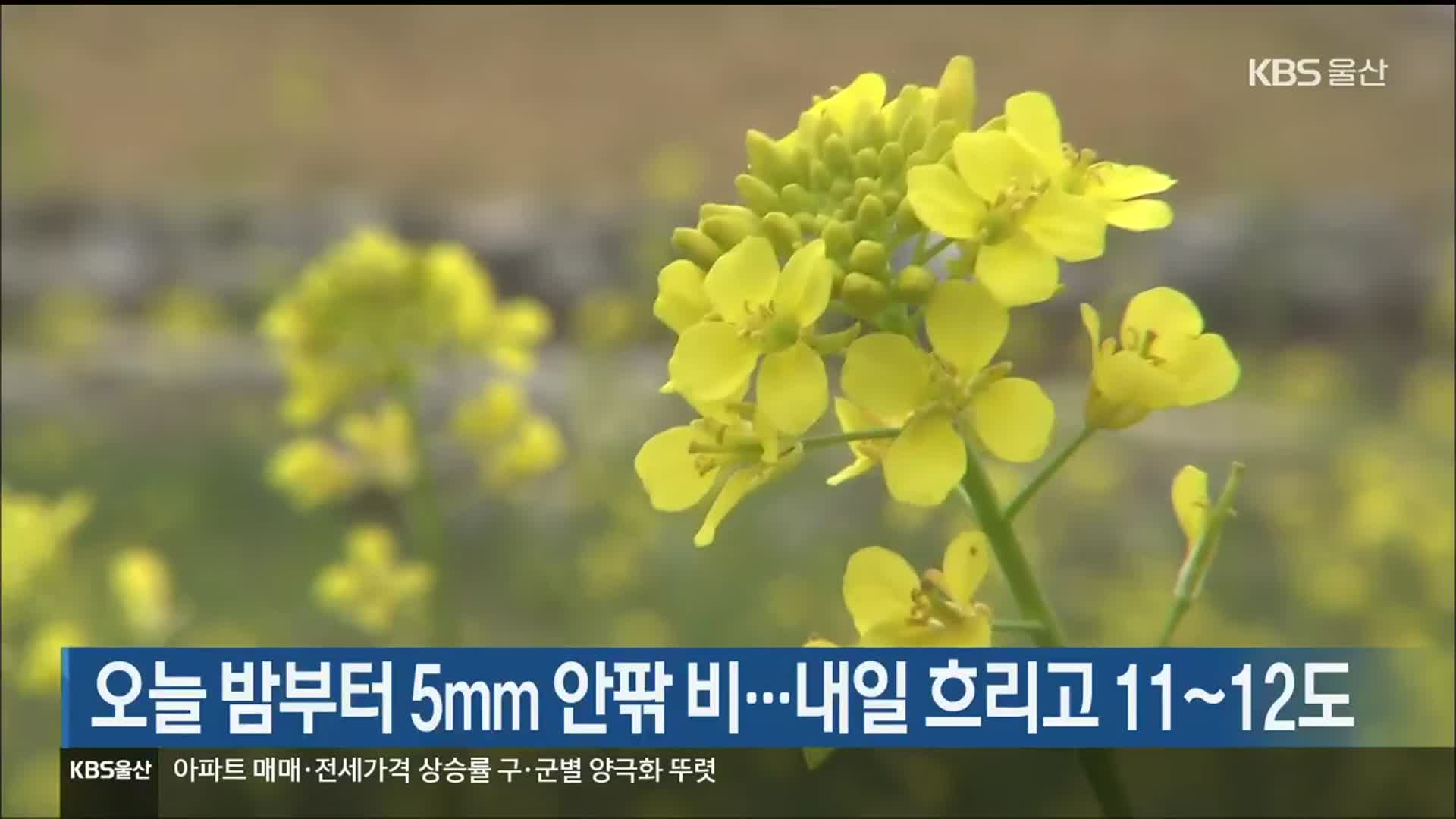 울산 오늘 밤부터 5mm 안팎 비…내일 흐리고 11~12도