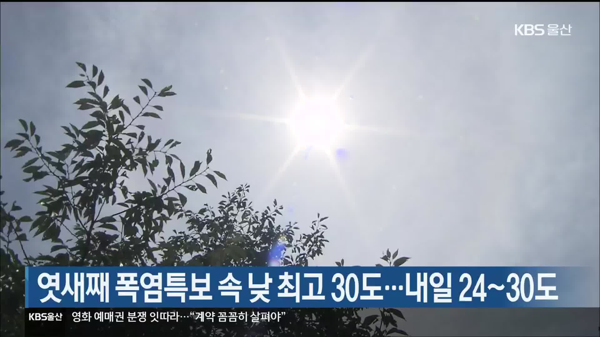 엿새째 폭염특보 속 낮 최고 30도…내일 24~30도