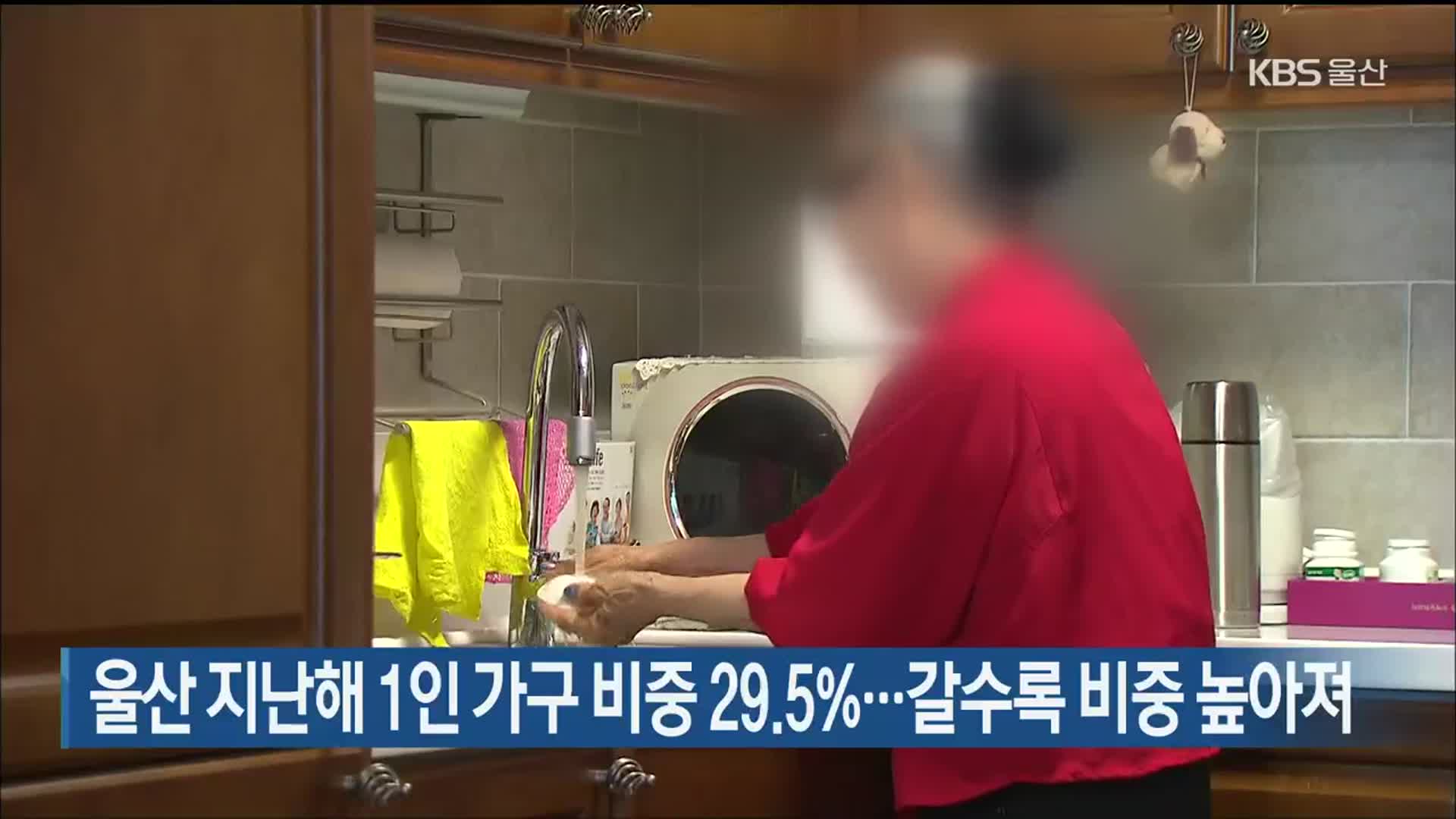 울산 지난해 1인 가구 비중 29.5%…갈수록 비중 높아져