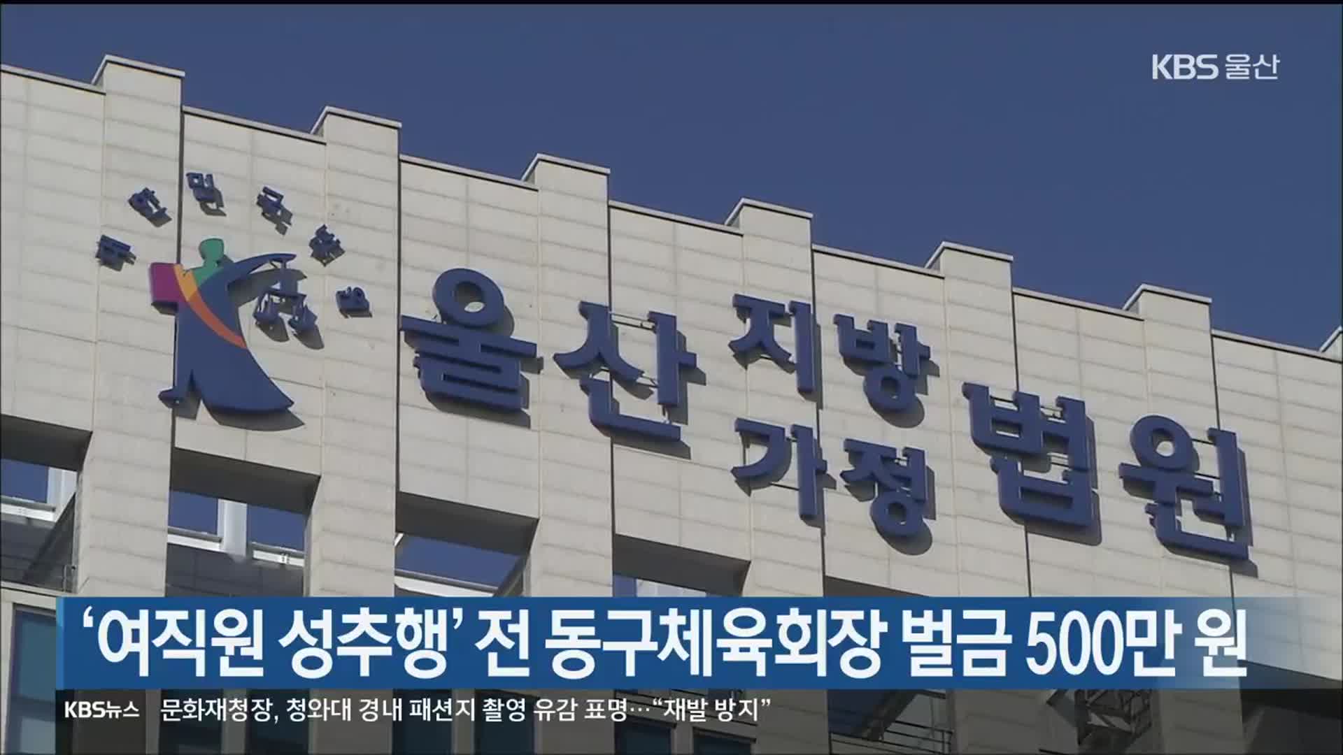 ‘여직원 성추행’ 전 울산동구체육회장 벌금 500만 원