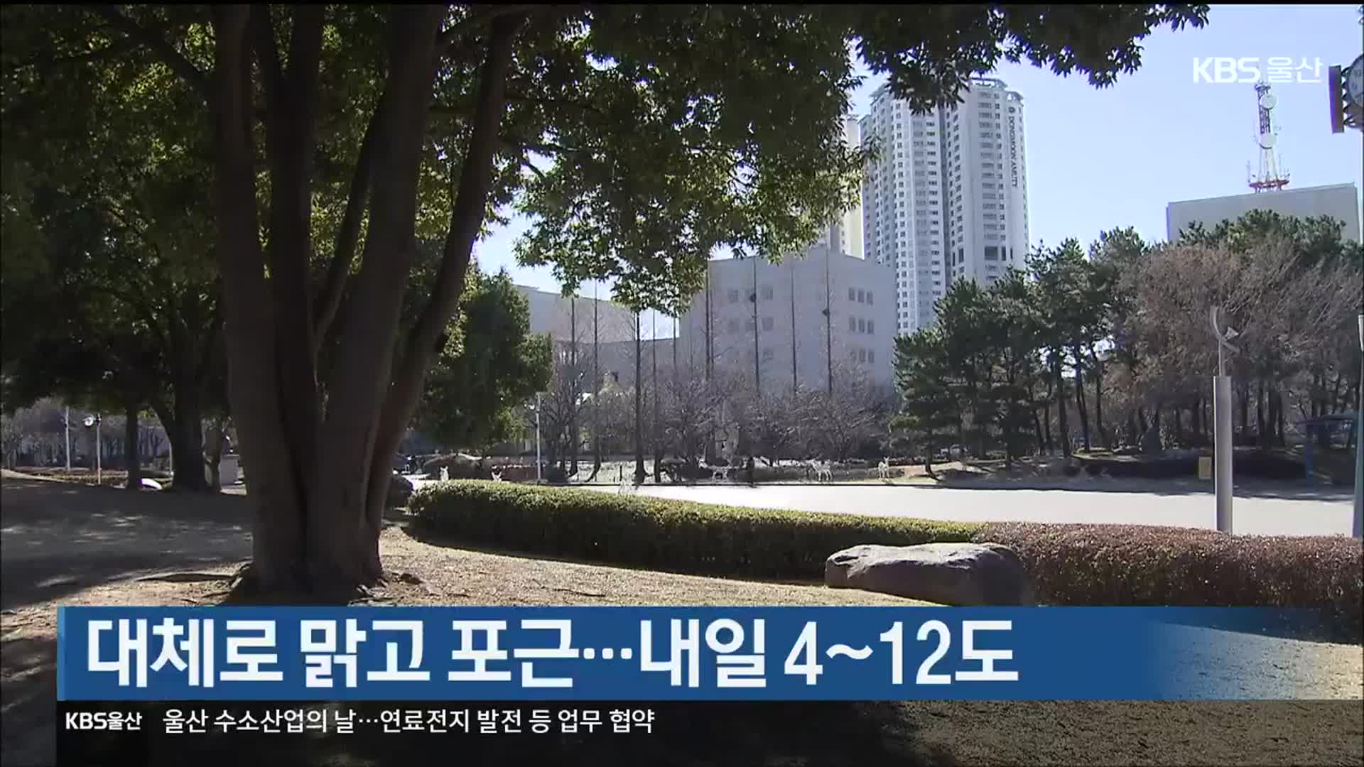 울산 대체로 맑고 포근…내일 4~12도