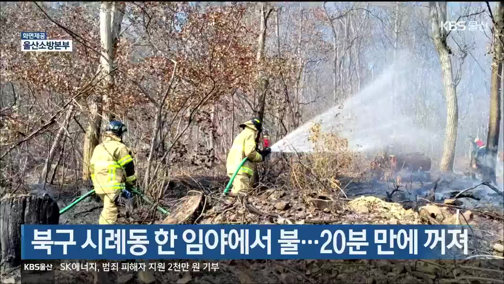 울산 북구 시례동 한 임야에서 불…20분 만에 꺼져