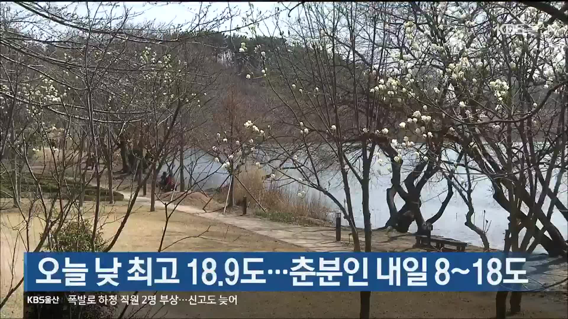 울산 오늘 낮 최고 18.9도…춘분인 내일 8~18도