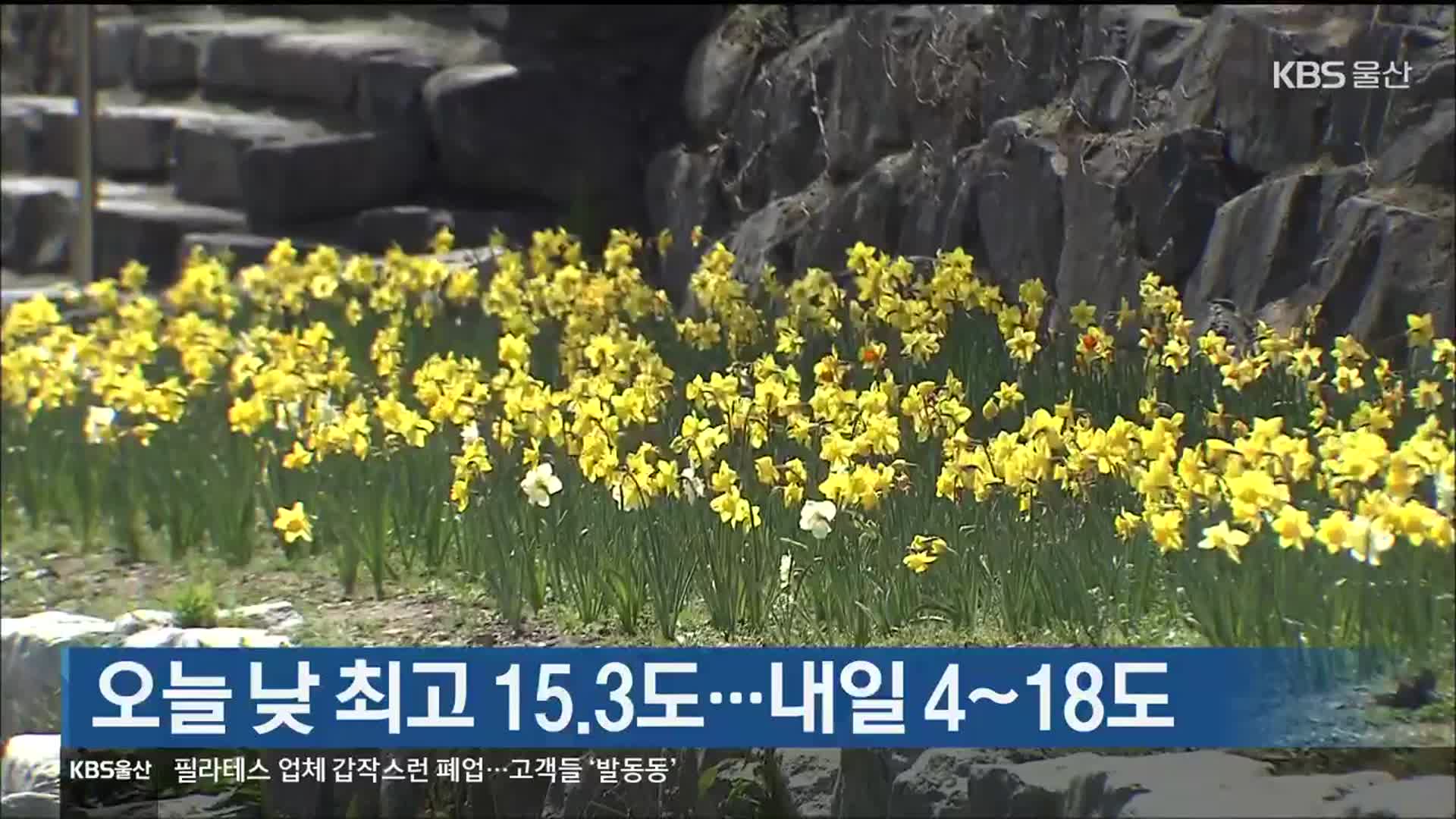 울산 오늘 낮 최고 15.3도…내일 4~18도