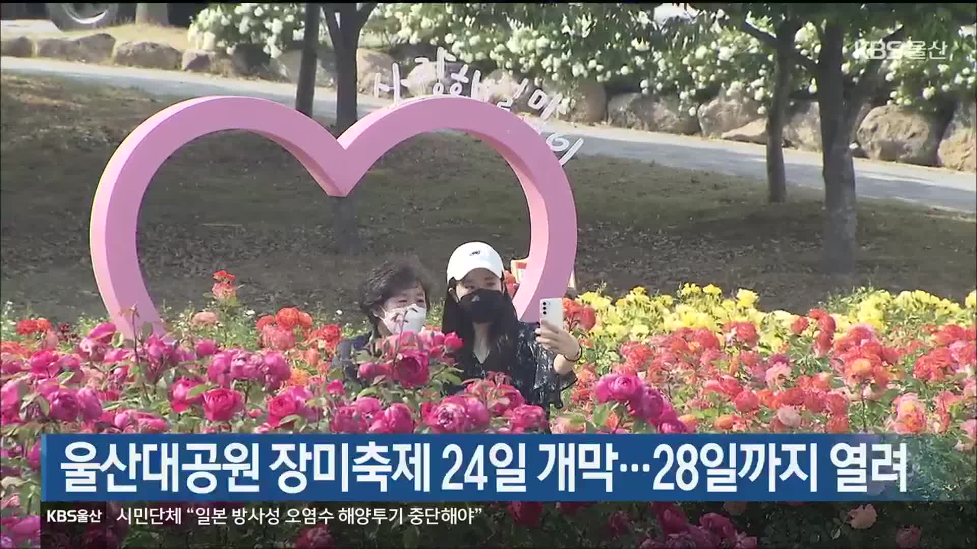 울산대공원 장미축제 24일 개막…28일까지 열려