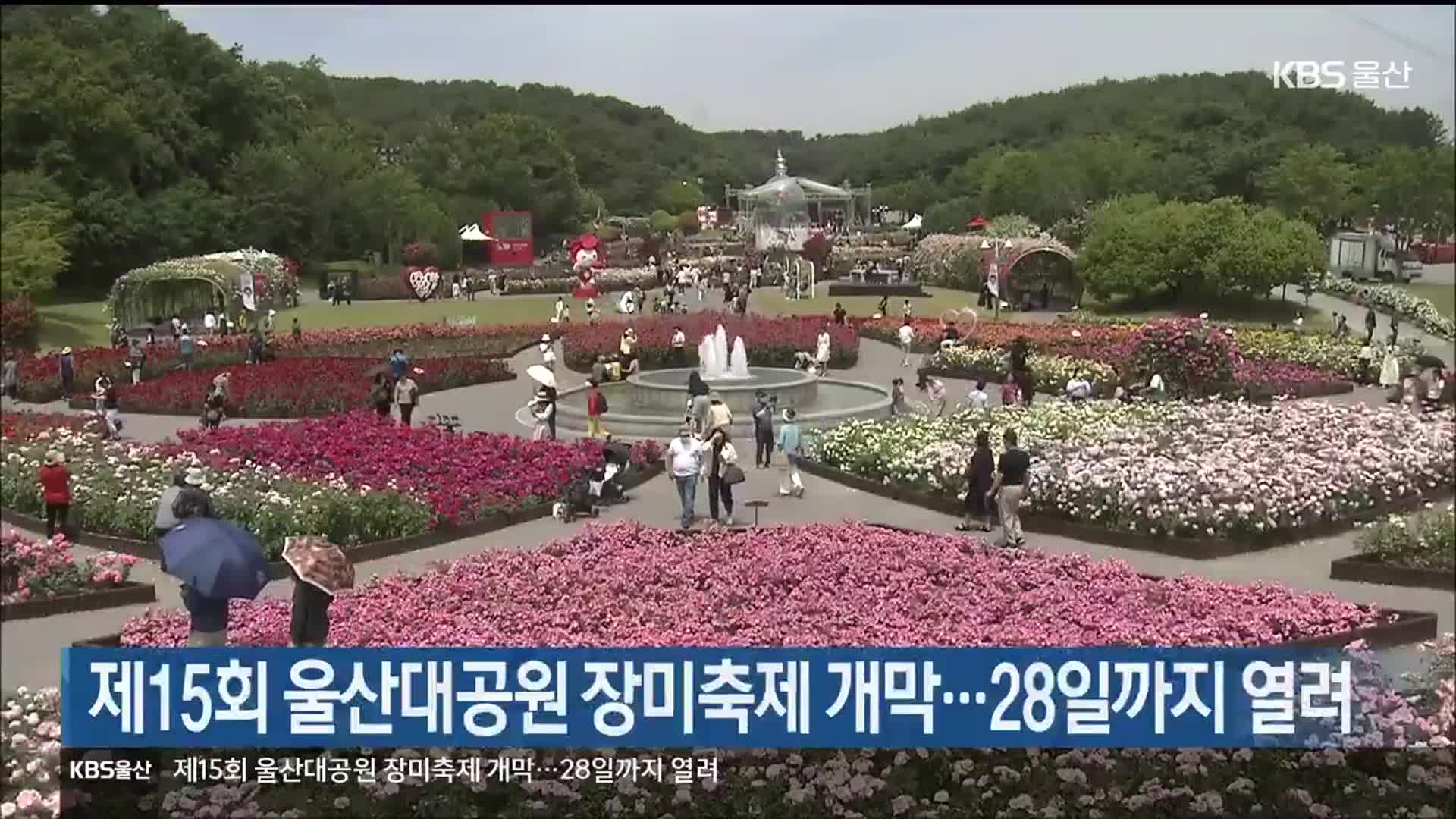 제15회 울산대공원 장미축제 개막…28일까지 열려