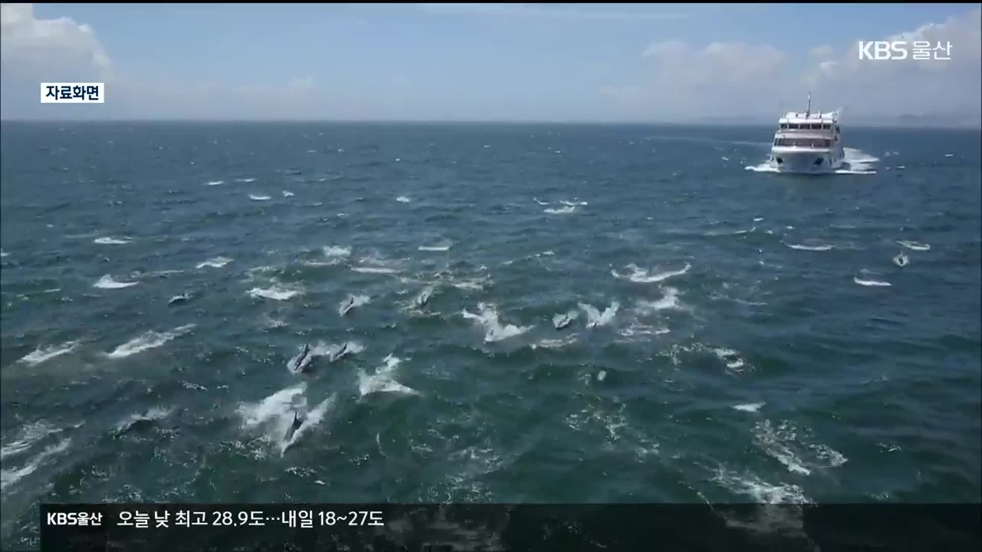 고래탐사선은 ‘인기’…낮은 발견율은 ‘고민’