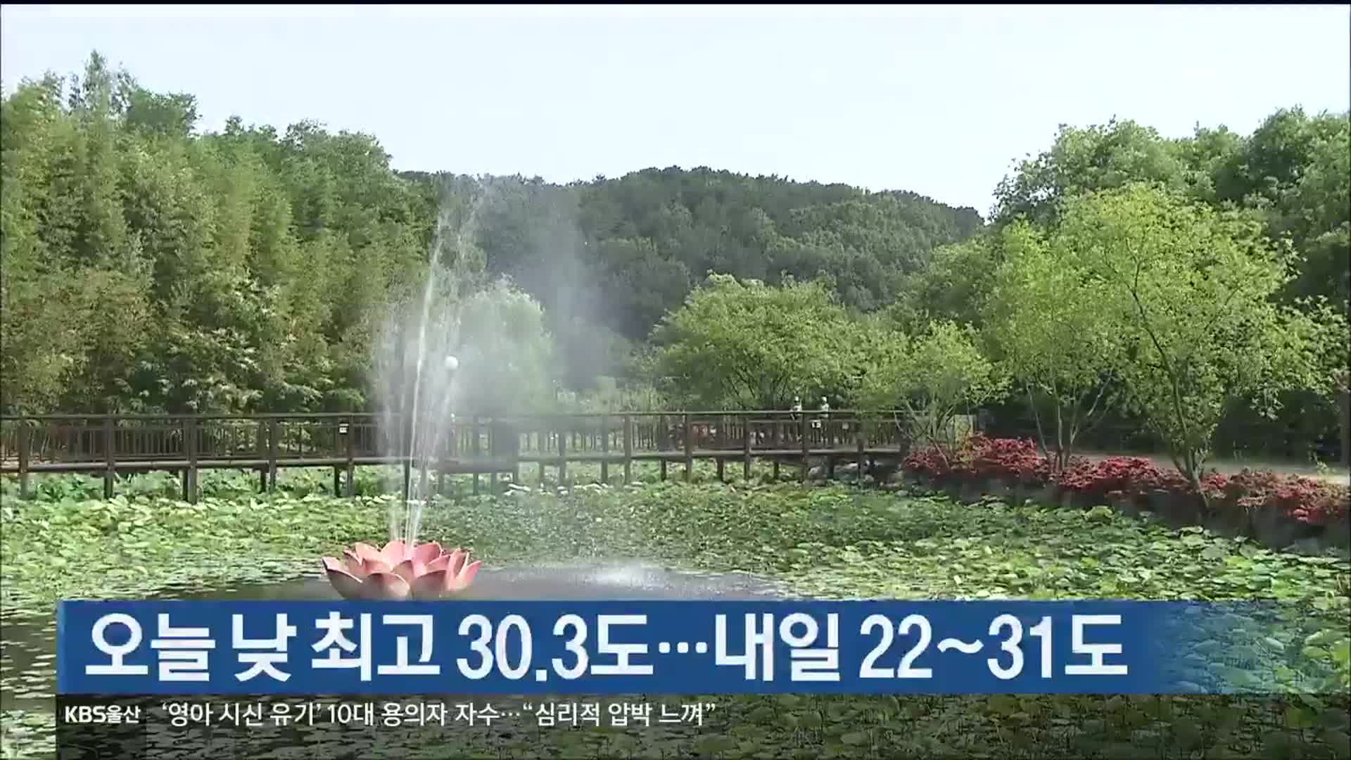 울산 오늘 낮 최고 30.3도…내일 22~31도