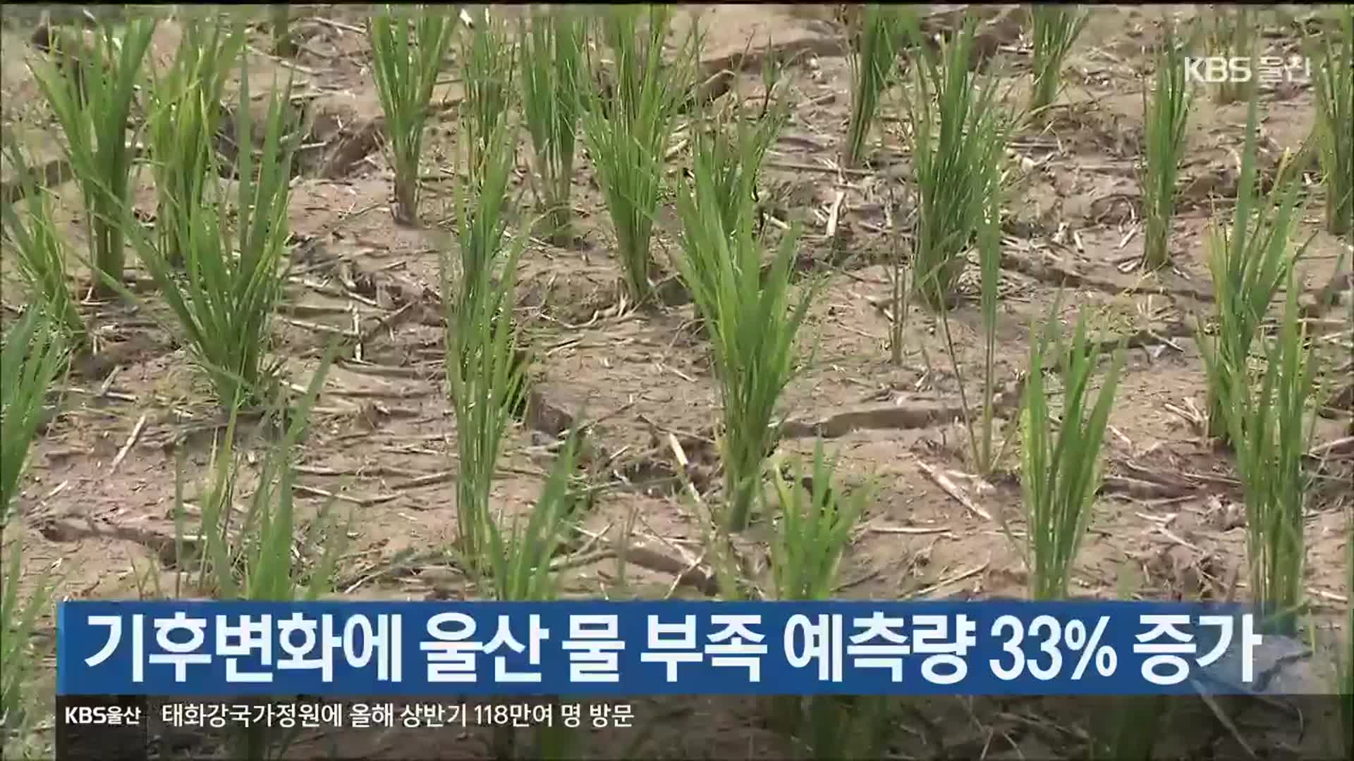 기후변화에 울산 물 부족 예측량 33% 증가