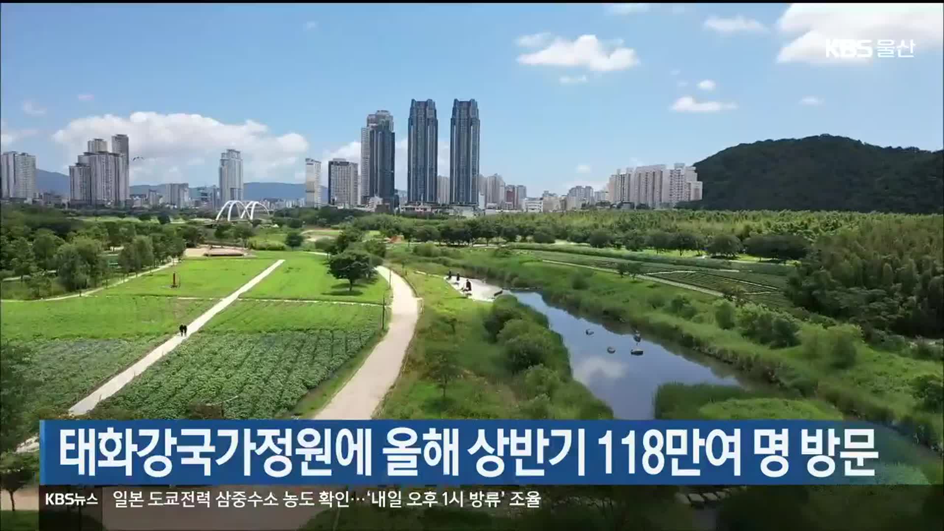 태화강국가정원에 올해 상반기 118만여 명 방문