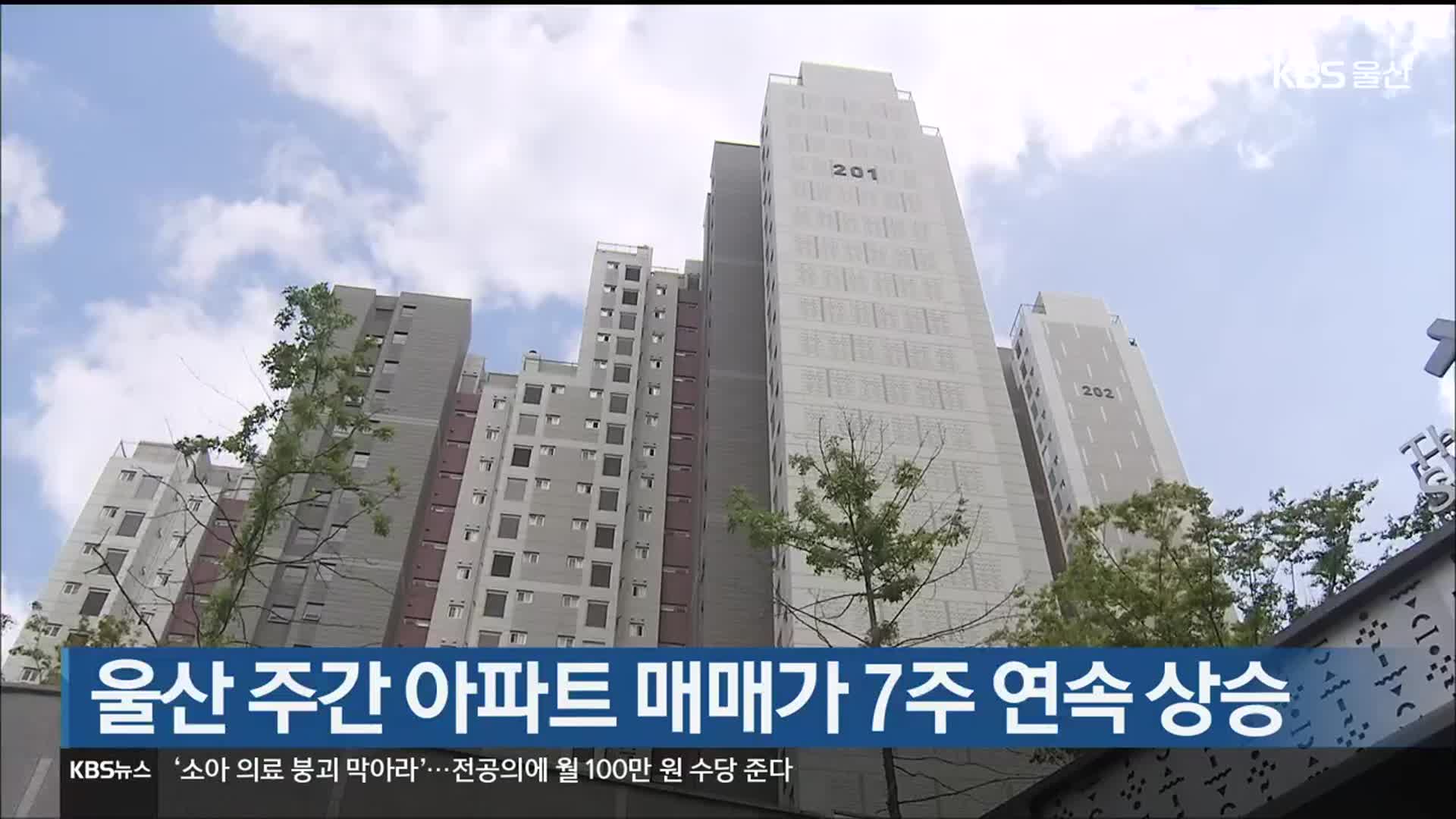 울산 주간 아파트 매매가 7주 연속 상승