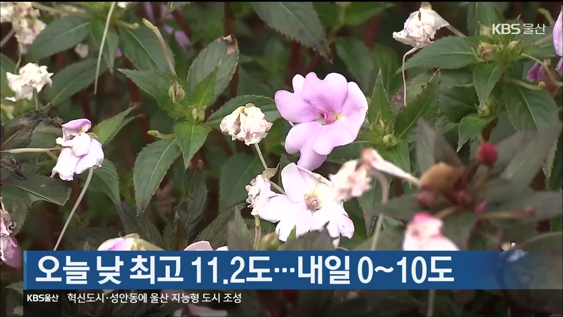 울산 오늘 낮 최고 11.2도…내일 0~10도