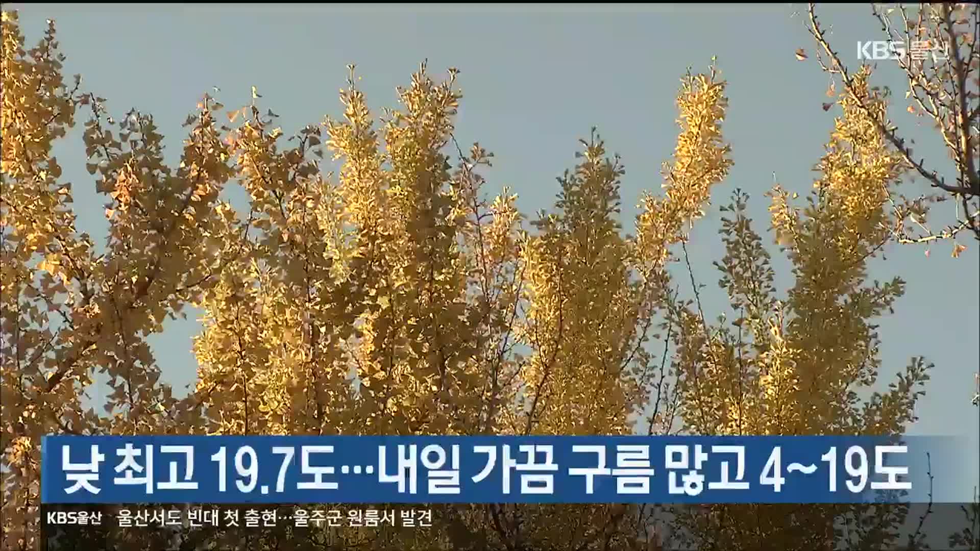 울산 낮 최고 19.7도…내일 가끔 구름 많고 4~19도
