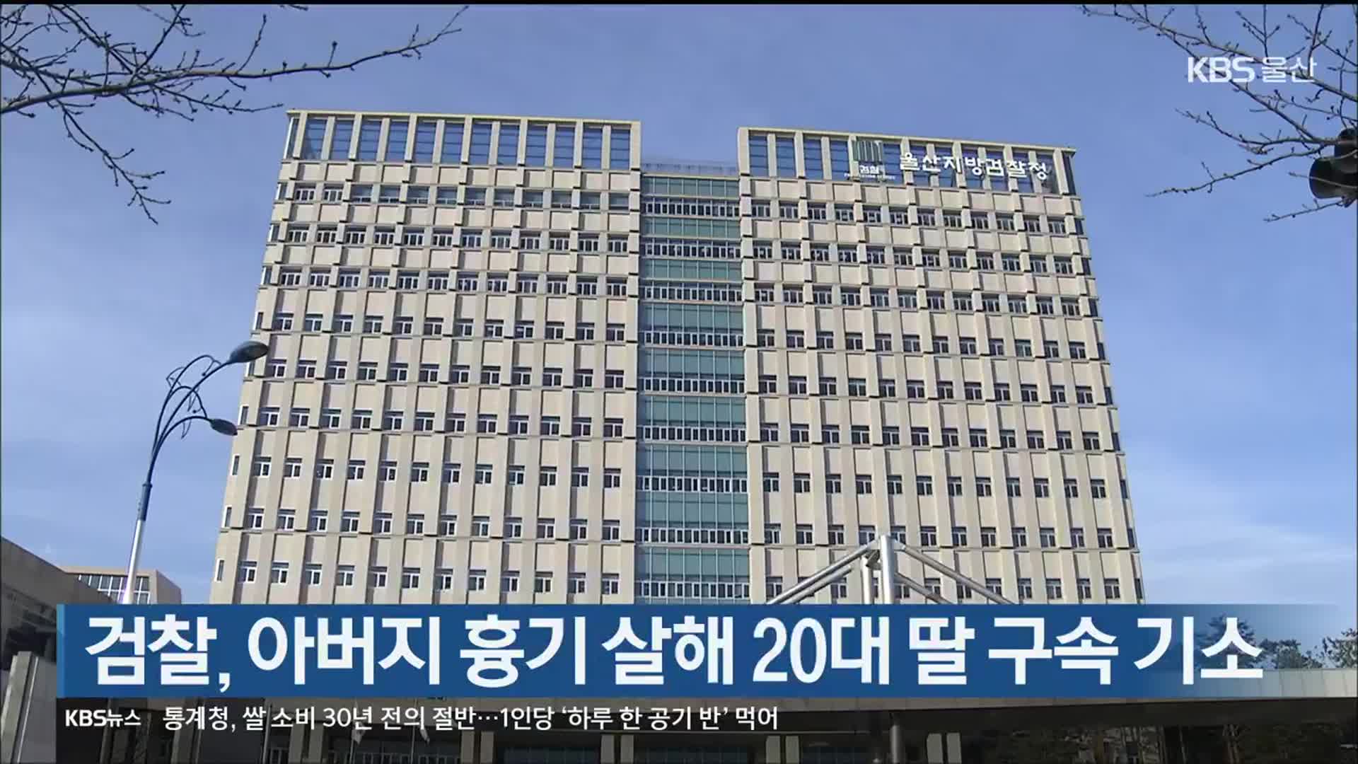 검찰, 아버지 흉기 살해 20대 딸 구속 기소
