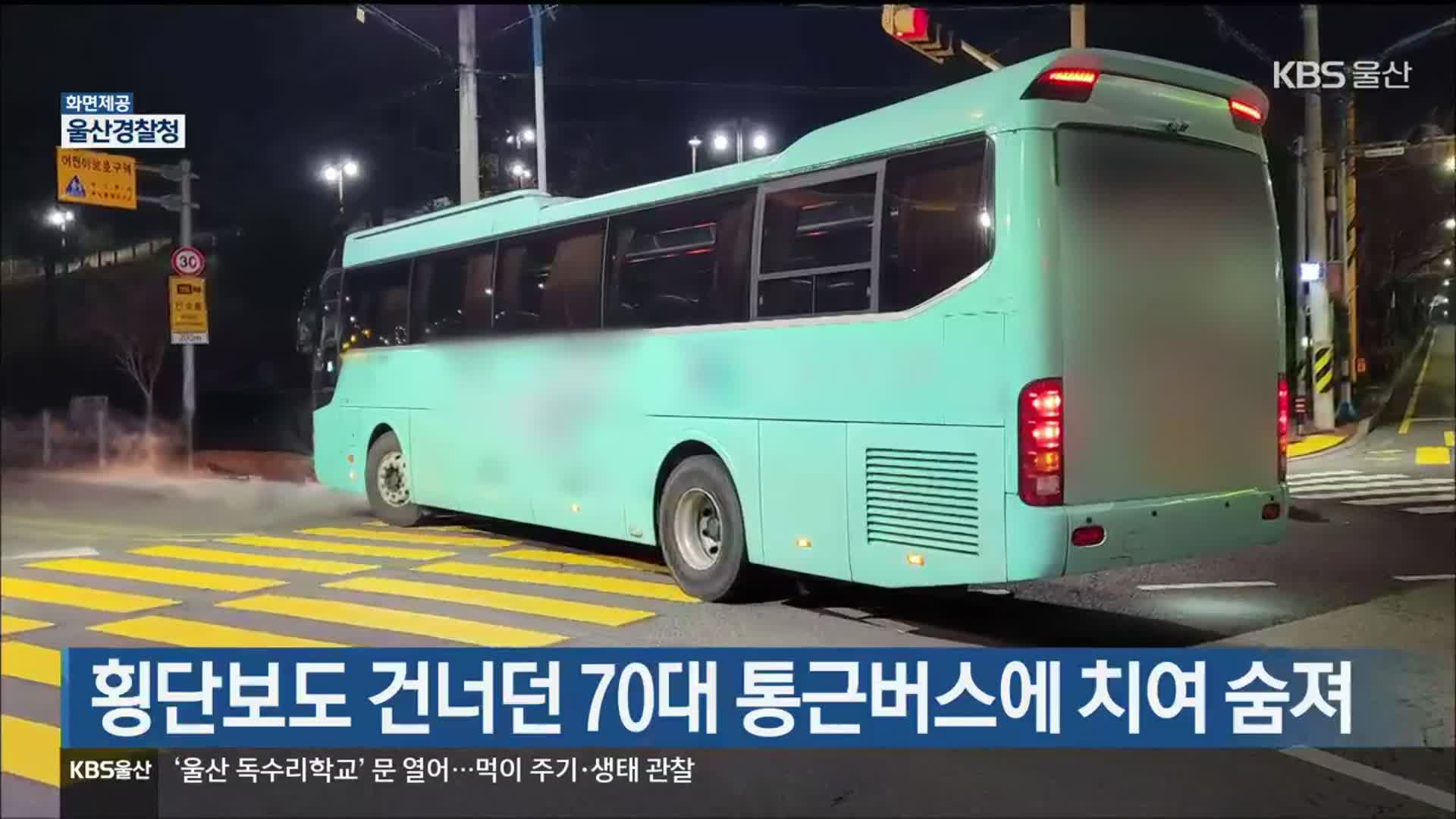 횡단보도 건너던 70대 통근버스에 치여 숨져