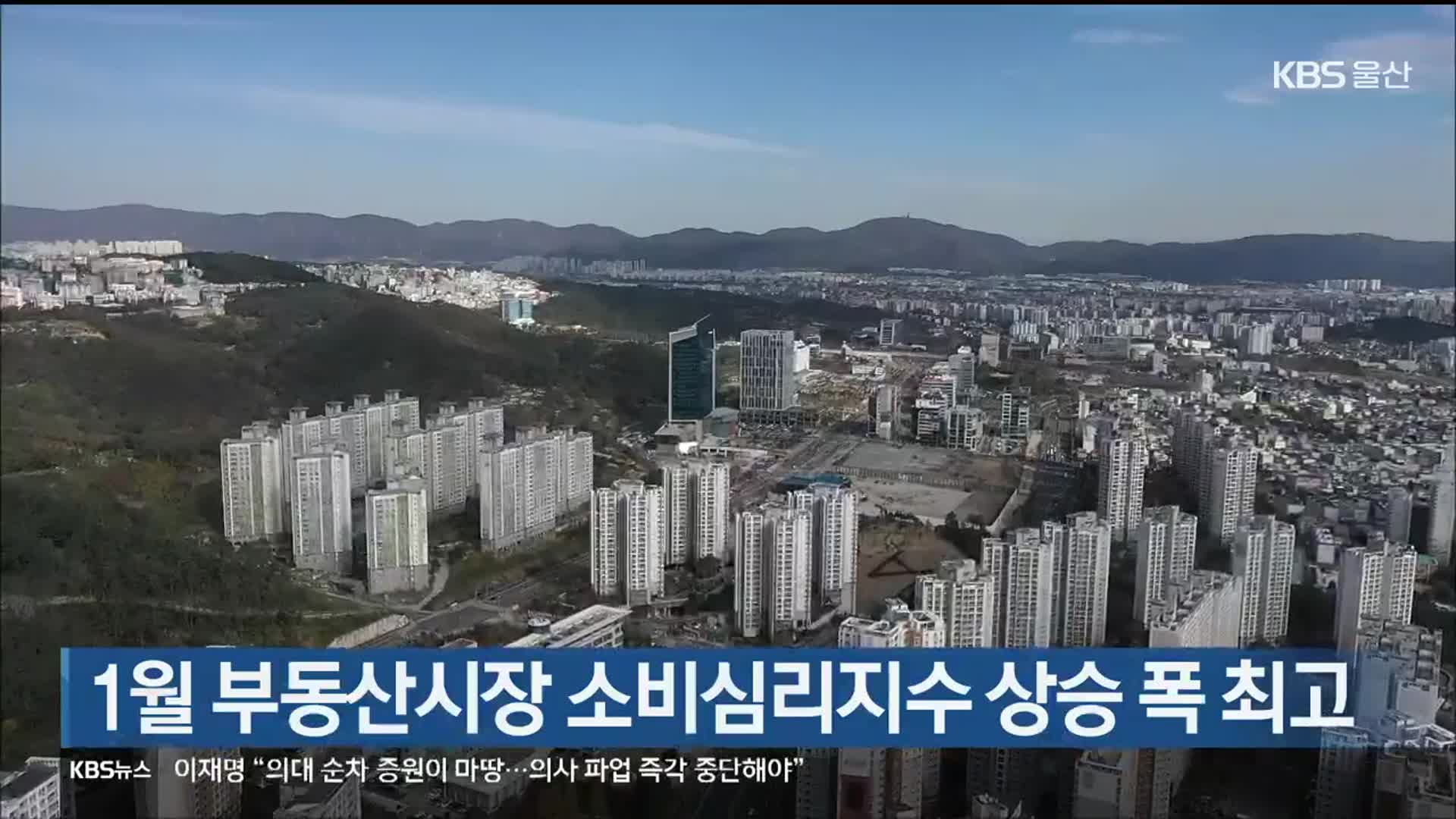 1월 부동산시장 소비심리지수 상승 폭 최고