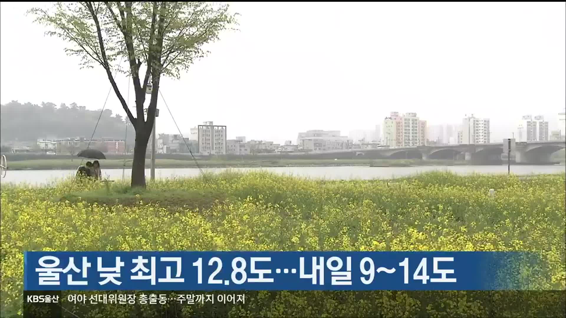 울산 낮 최고 12.8도…내일 9~14도