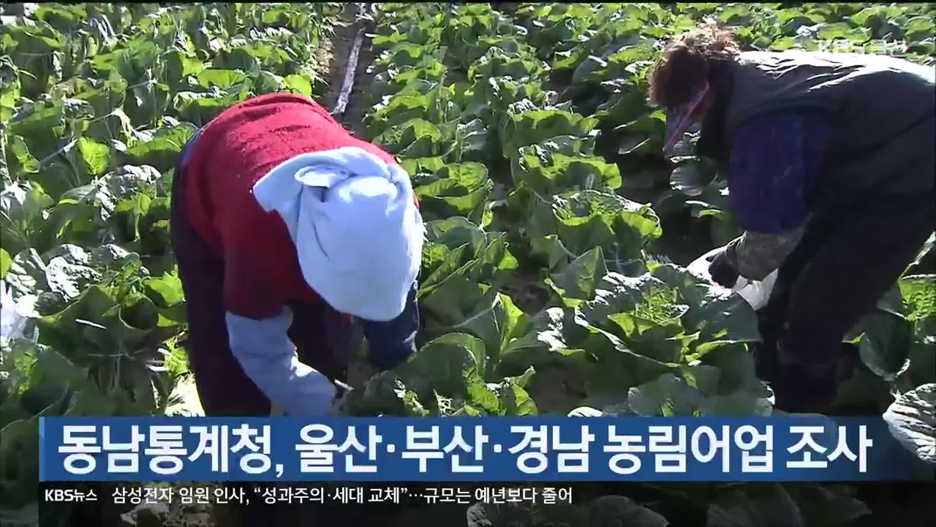 동남통계청, 울산·부산·경남 농림어업 조사