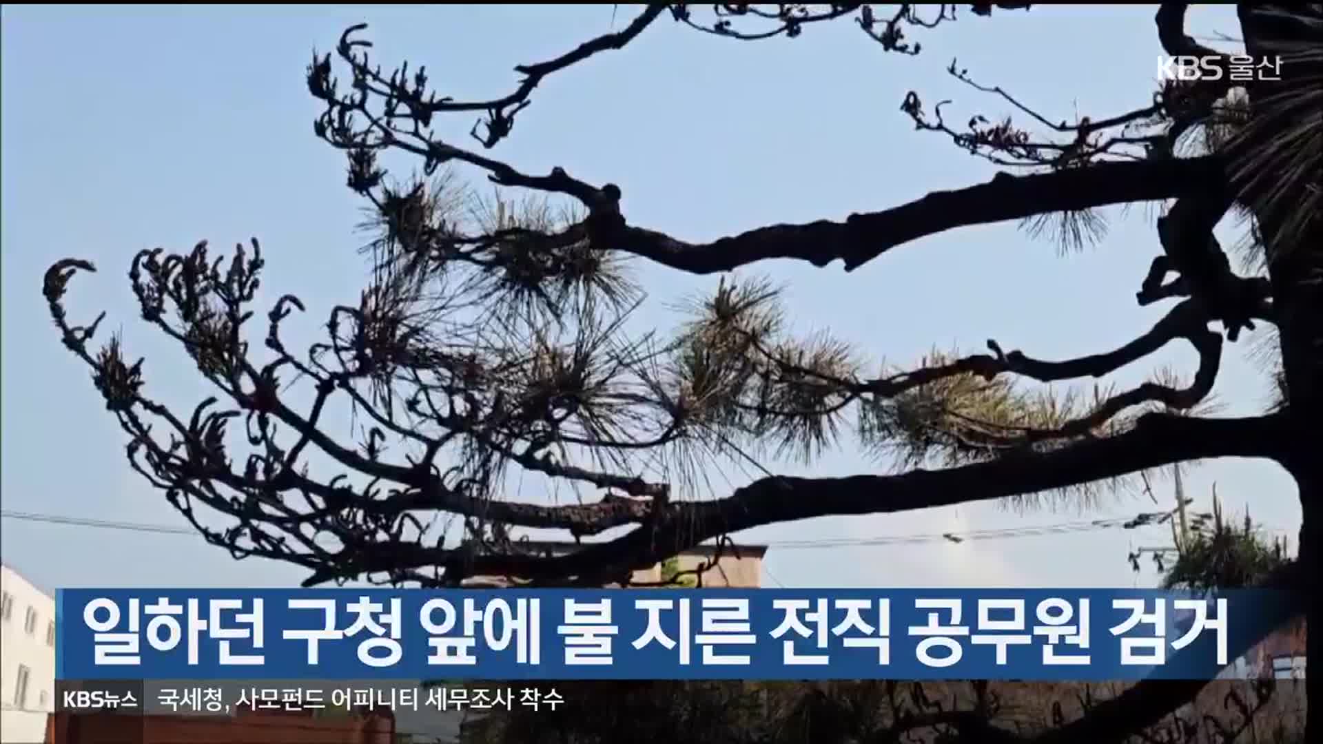 일하던 구청 앞에 불 지른 전직 공무원 검거