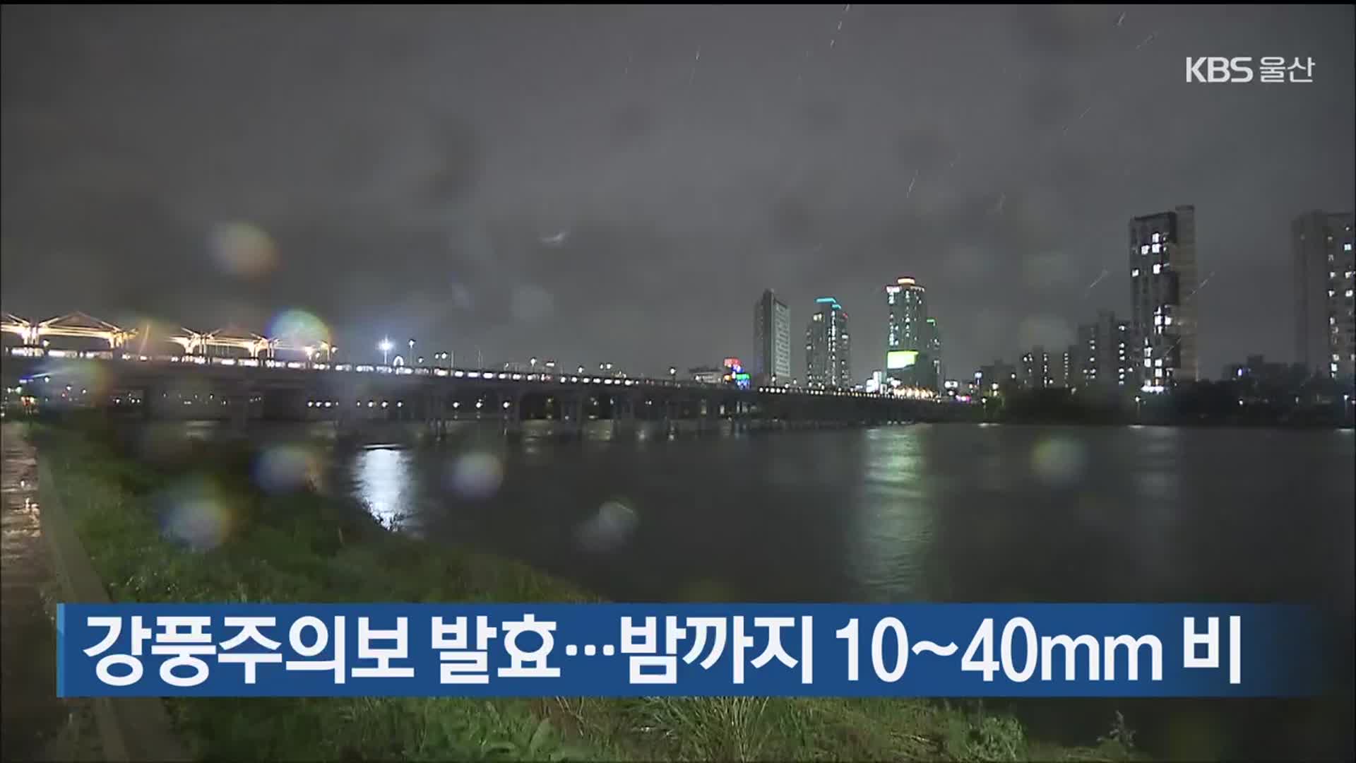 울산 강풍주의보 발효…밤까지 10~40mm 비