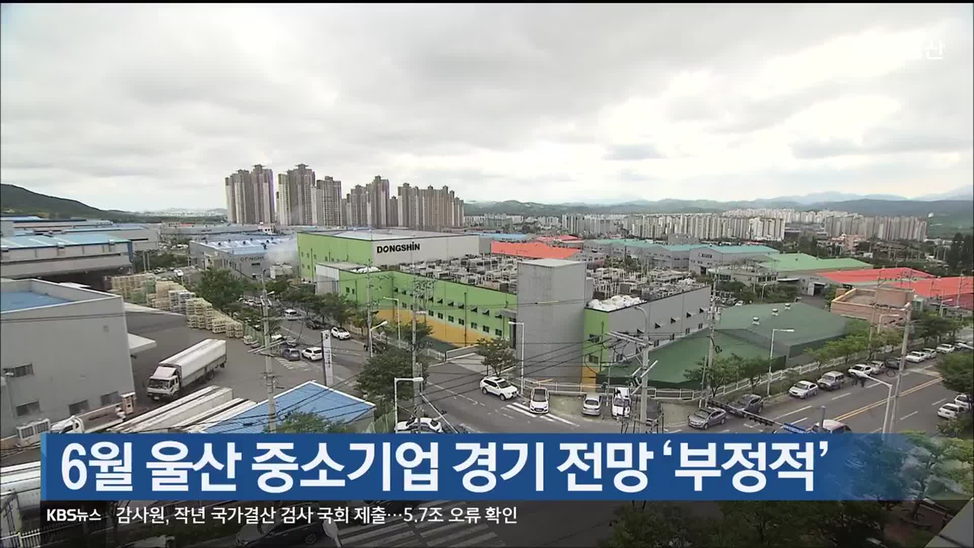 6월 울산 중소기업 경기 전망 ‘부정적’