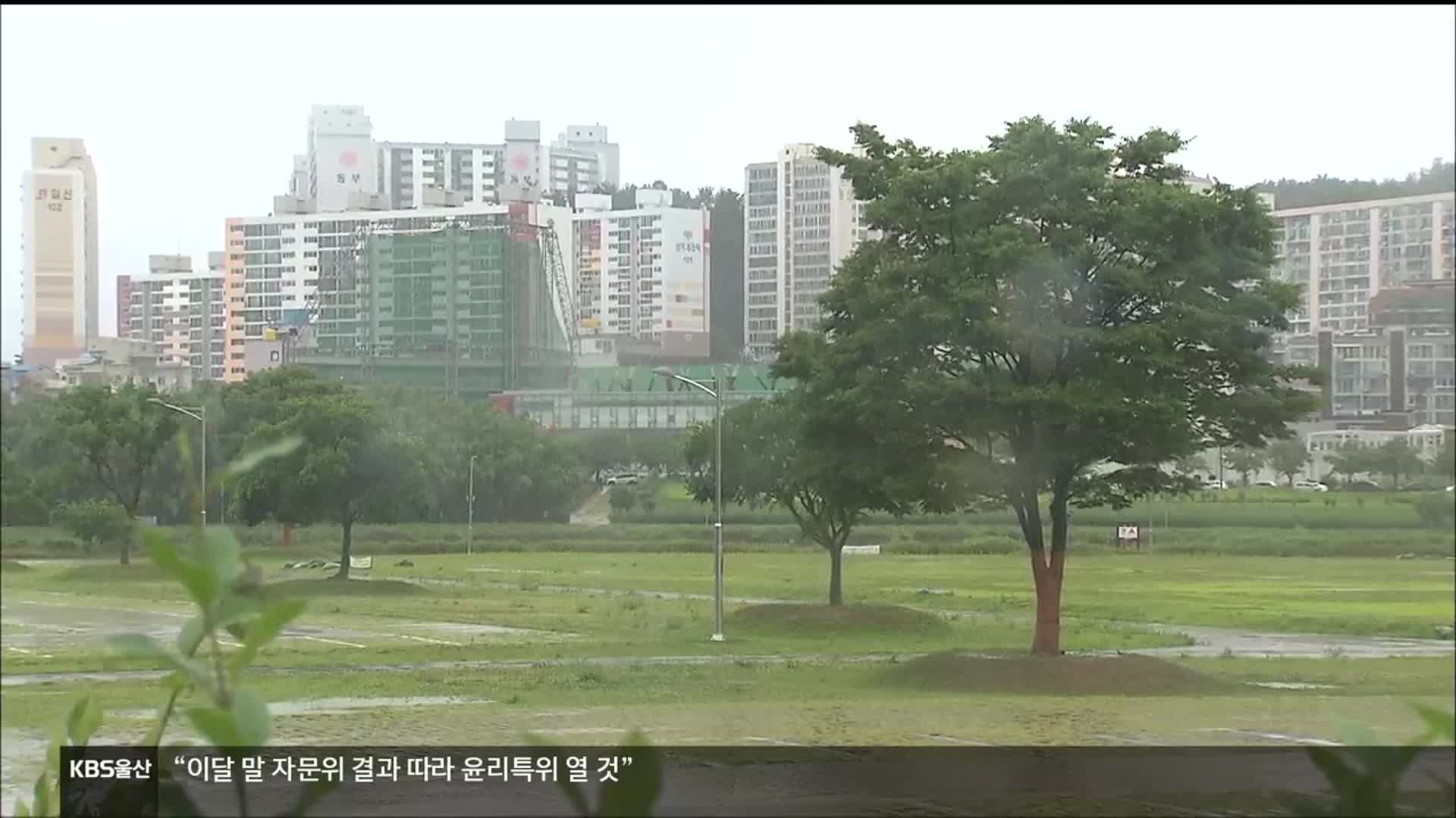 [뉴스7 울산 풀영상]