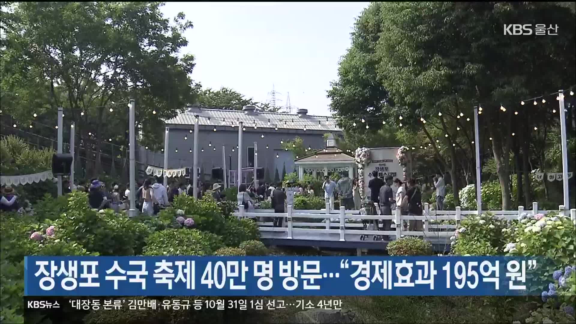 장생포 수국 축제 40만 명 방문…“경제효과 195억 원”