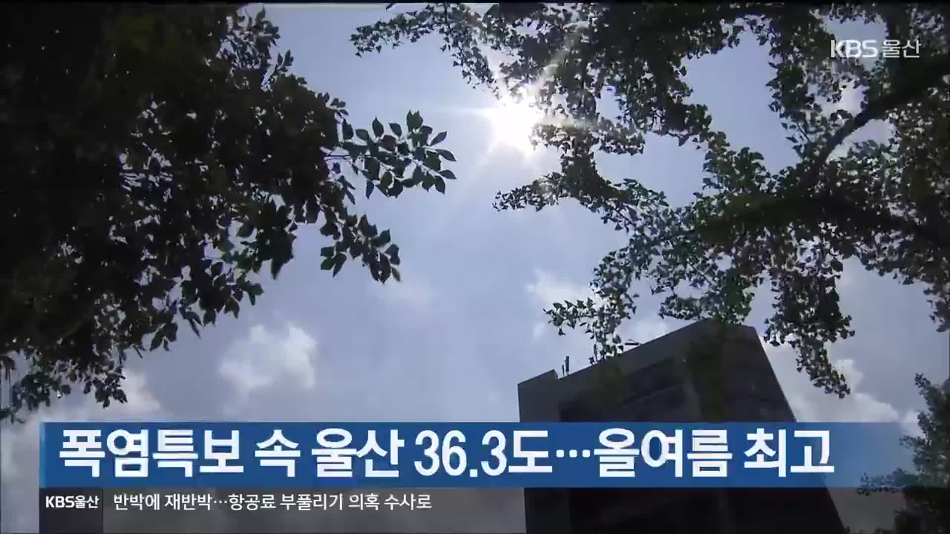 폭염특보 속 울산 36.3도…올여름 최고