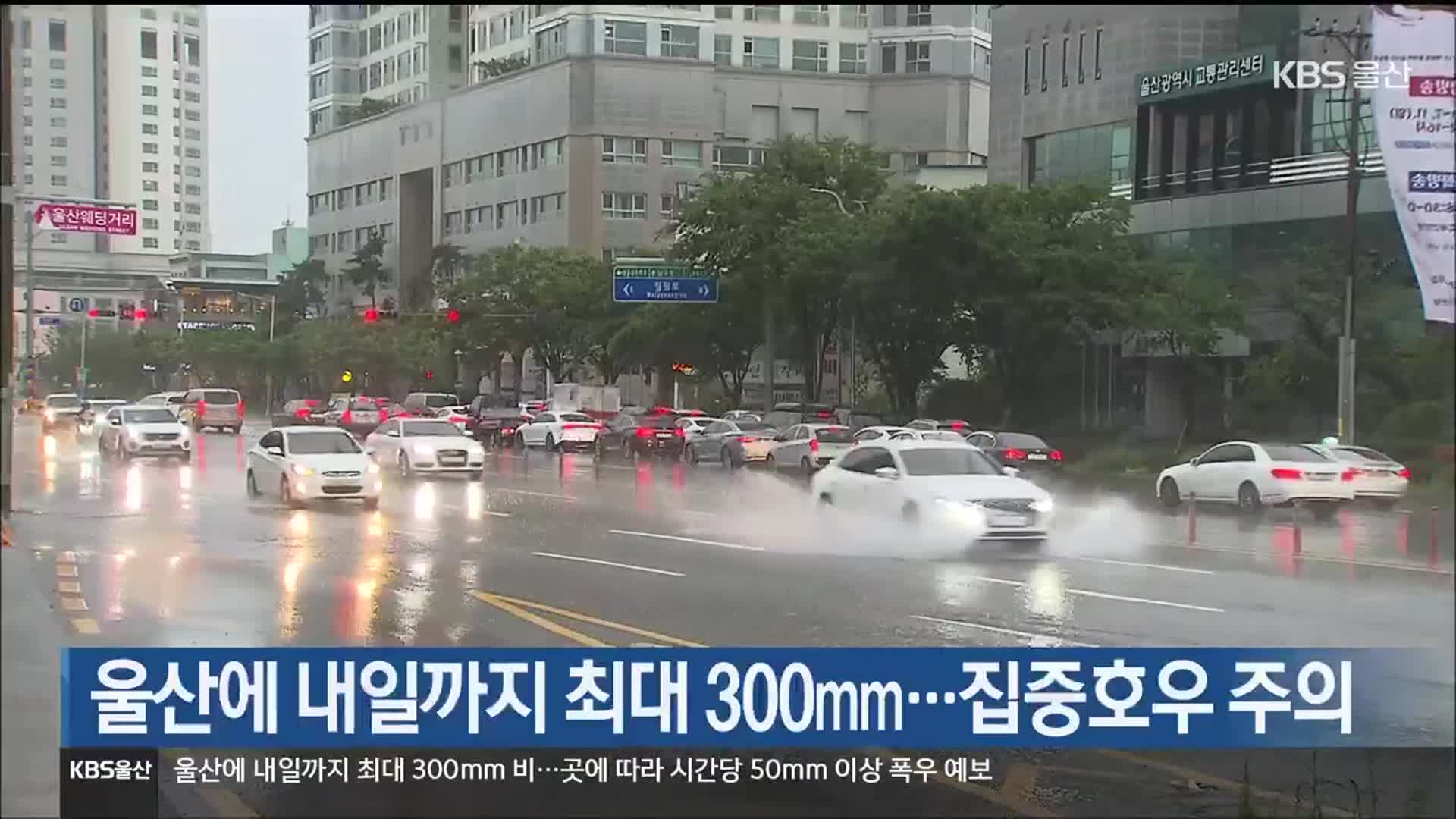 울산에 내일까지 최대 300mm…집중호우 주의