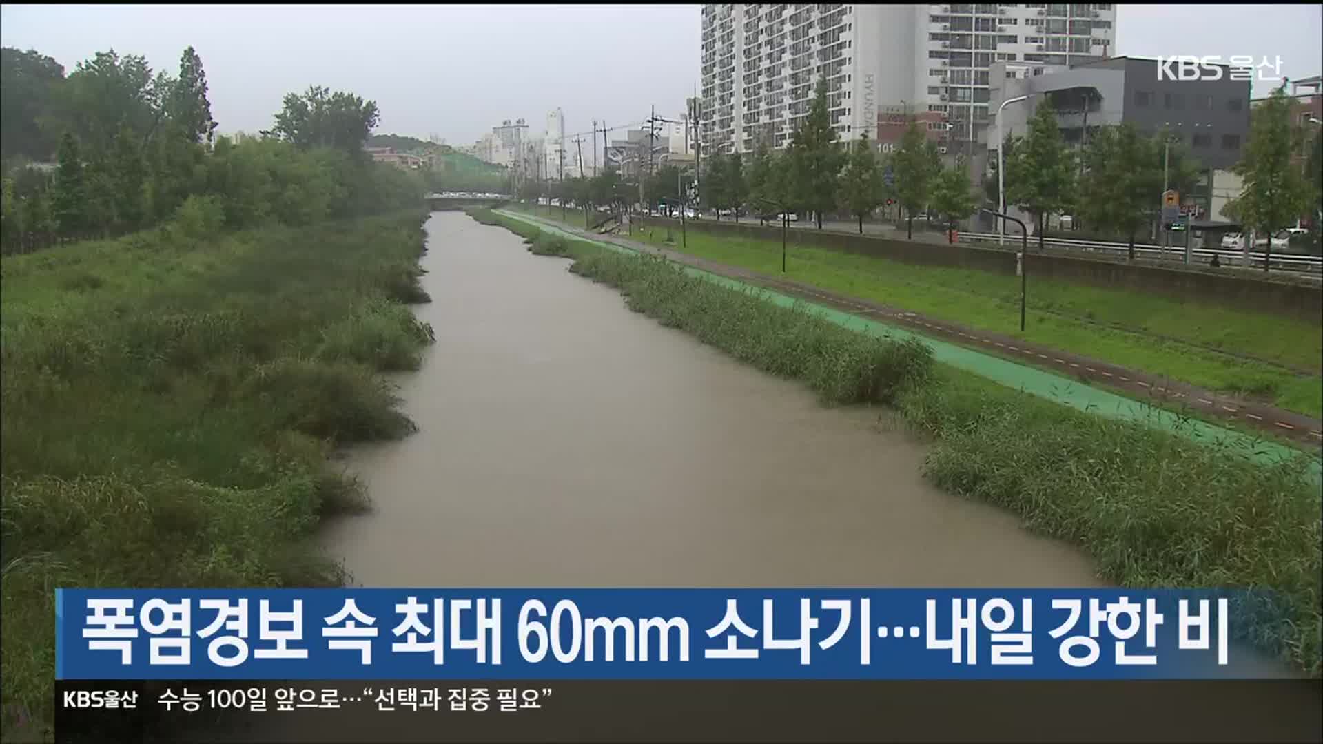 울산 폭염경보 속 최대 60mm 소나기…내일 강한 비