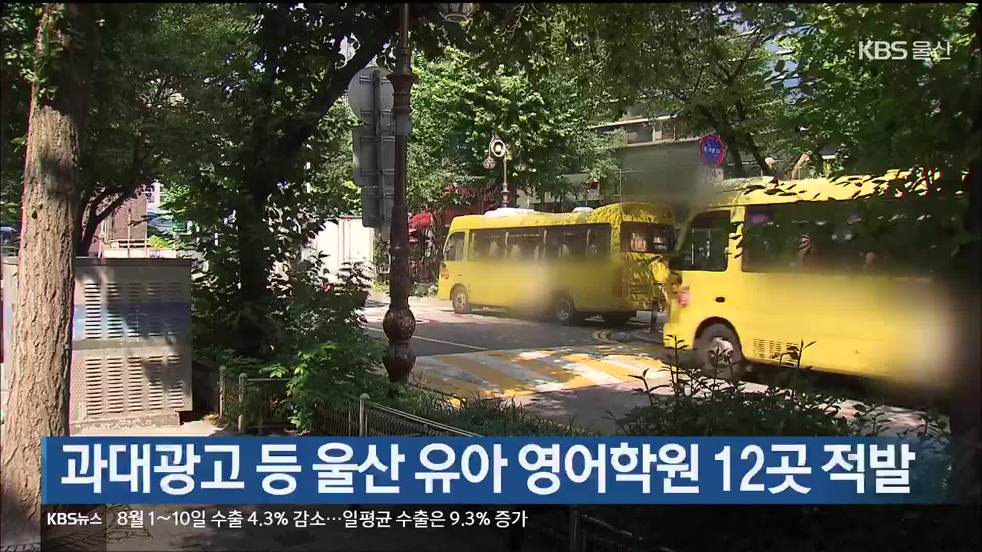 과대광고 등 울산 유아 영어학원 12곳 적발