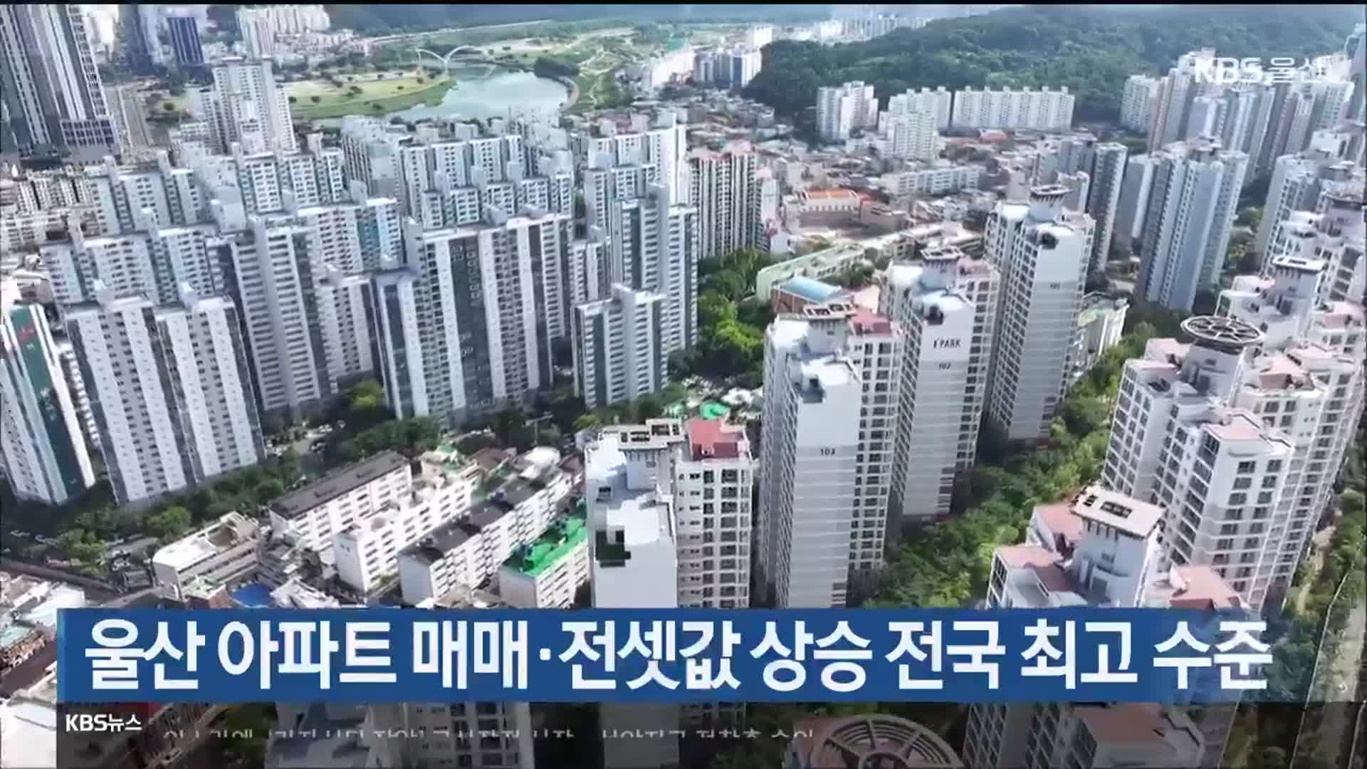 울산 아파트 매매·전셋값 상승 전국 최고 수준
