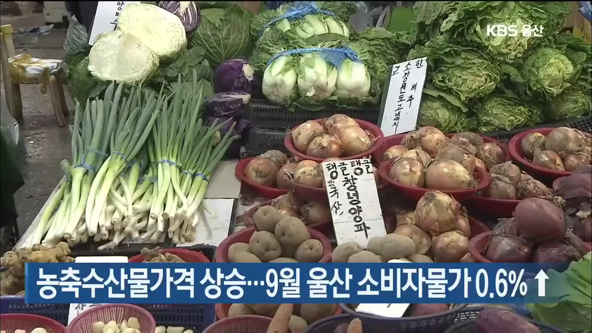 농축수산물가격 상승…9월 울산 소비자물가 0.6% ↑