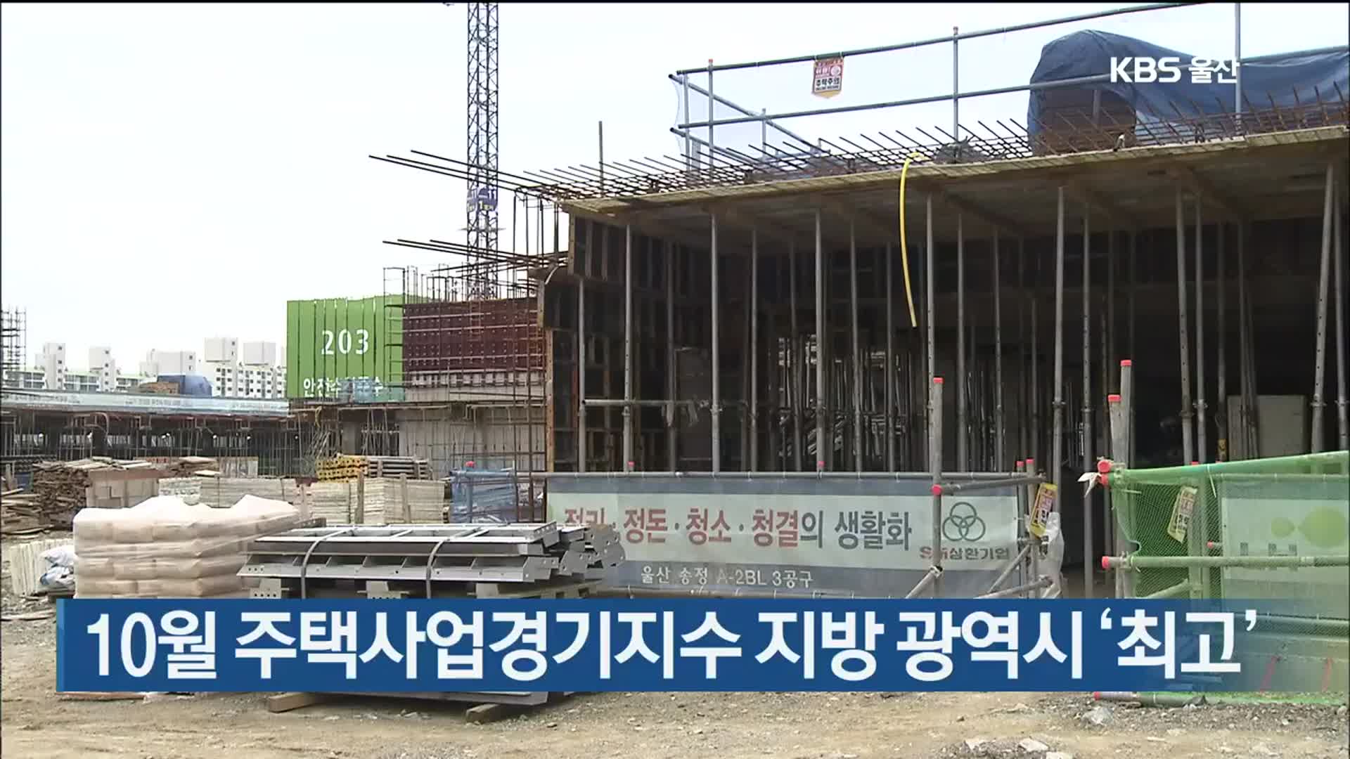 10월 주택사업경기지수 지방 광역시 ‘최고’