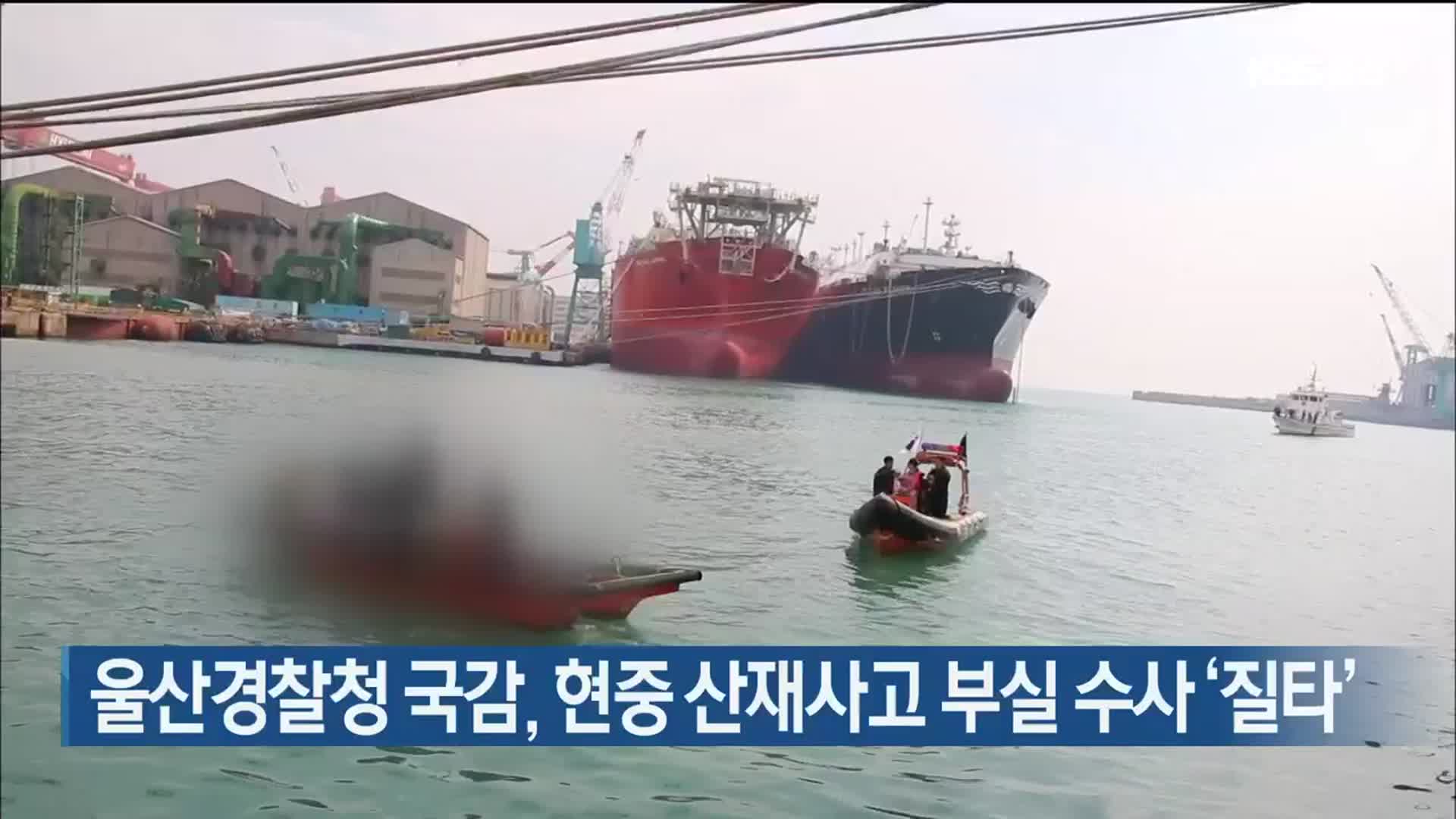 울산경찰청 국감, 현중 산재사고 부실 수사 ‘질타’