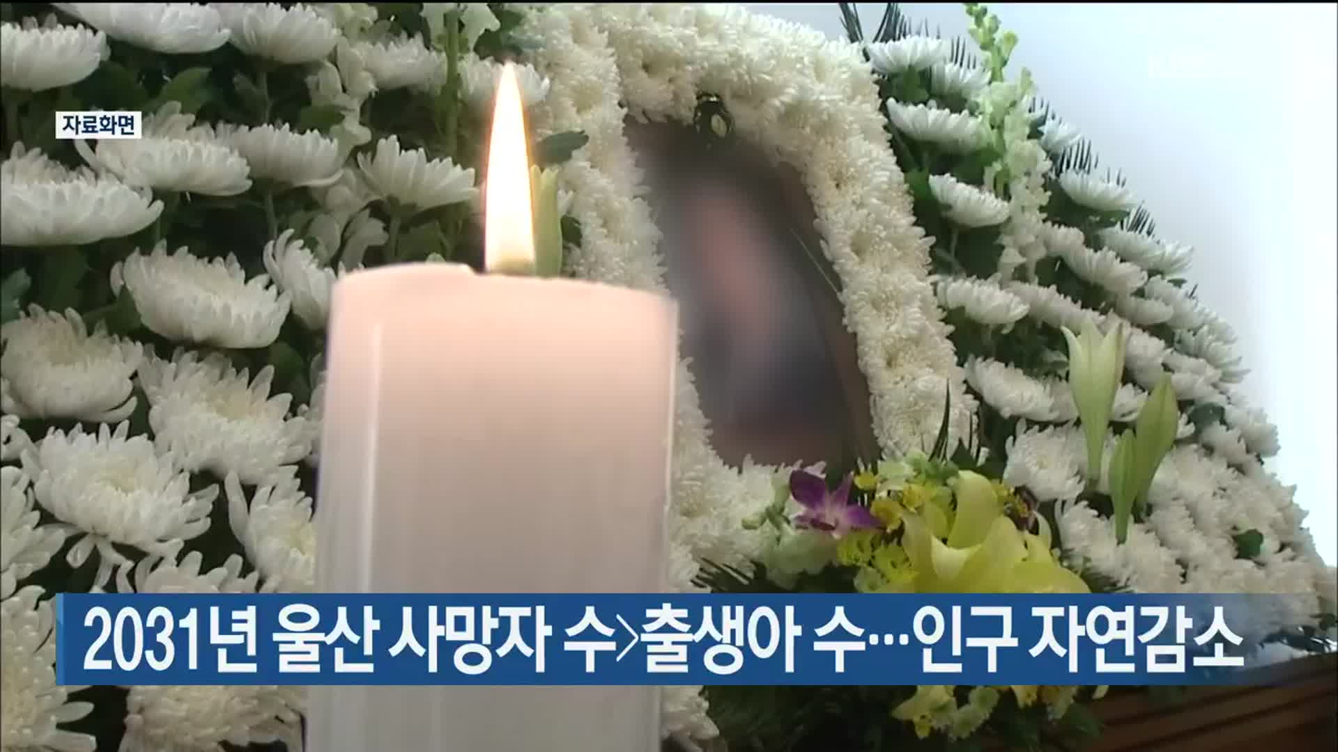 2031년 울산 사망자 수>출생아 수…인구 자연감소